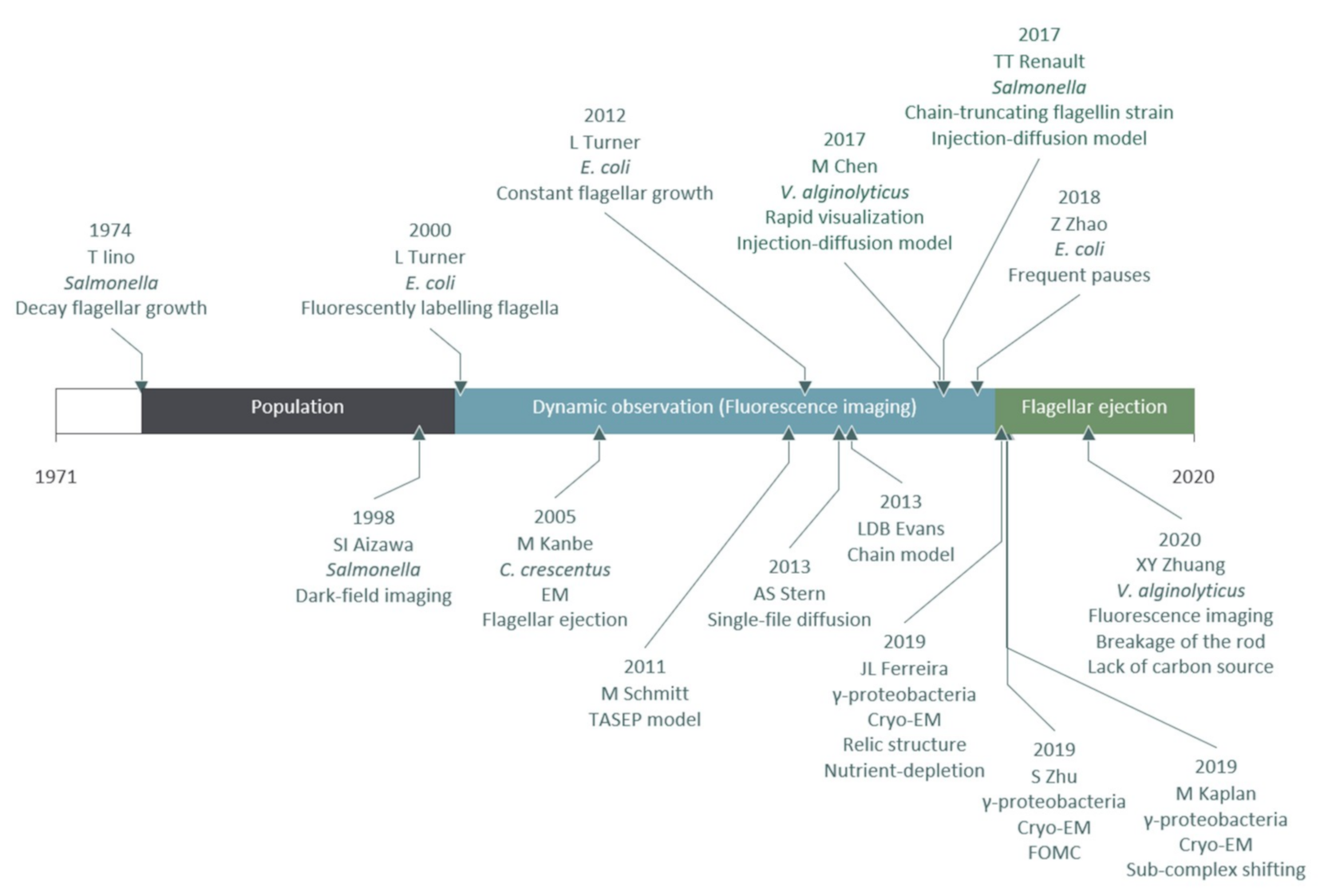 Biomolecules 10 01528 g003 Biomolecules 10 01528 g003