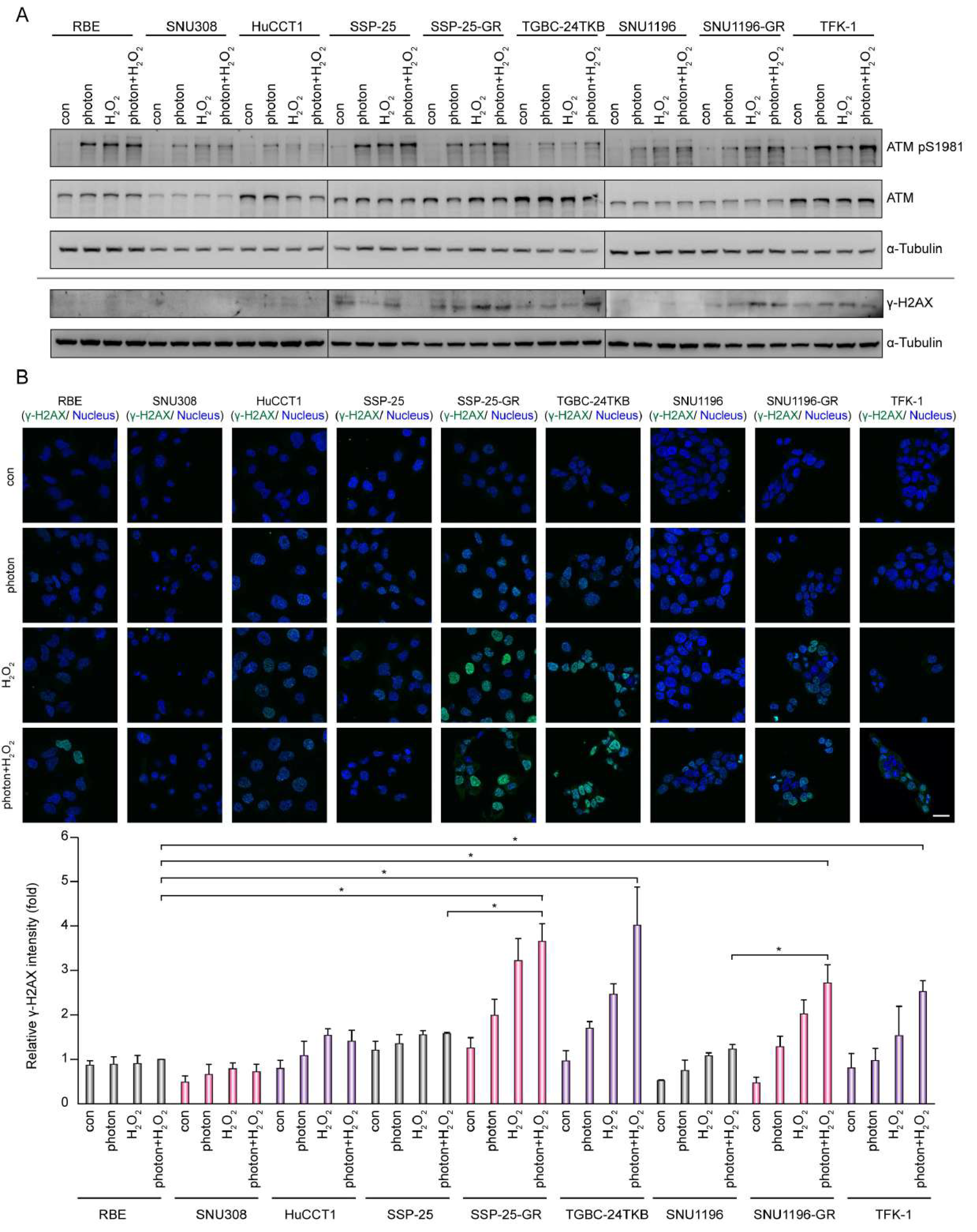 Biomolecules 10 01529 g003 Biomolecules 10 01529 g003