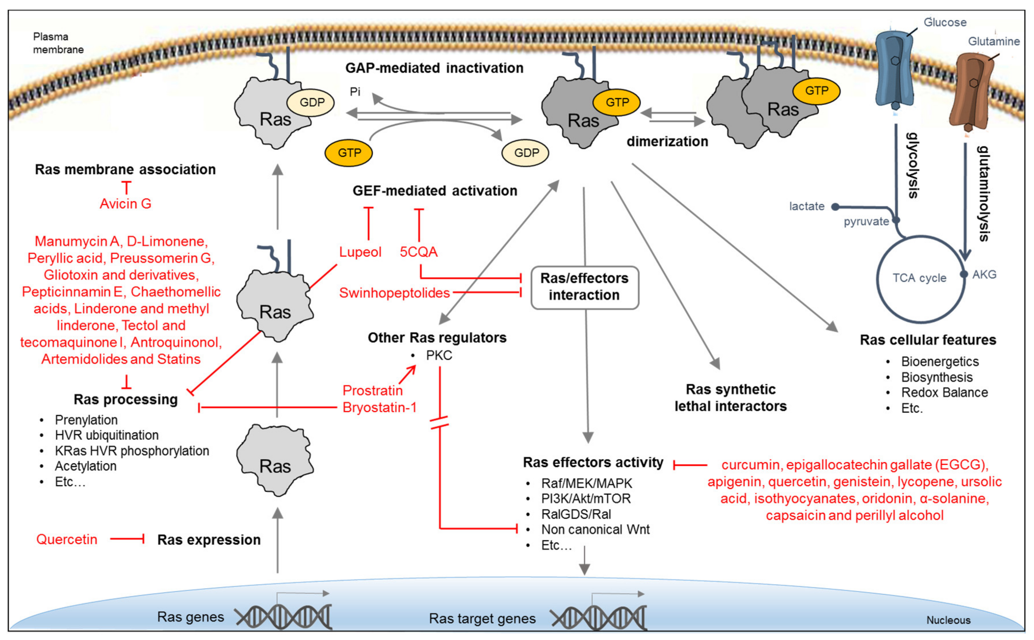Biomolecules 10 01535 g002 Biomolecules 10 01535 g002