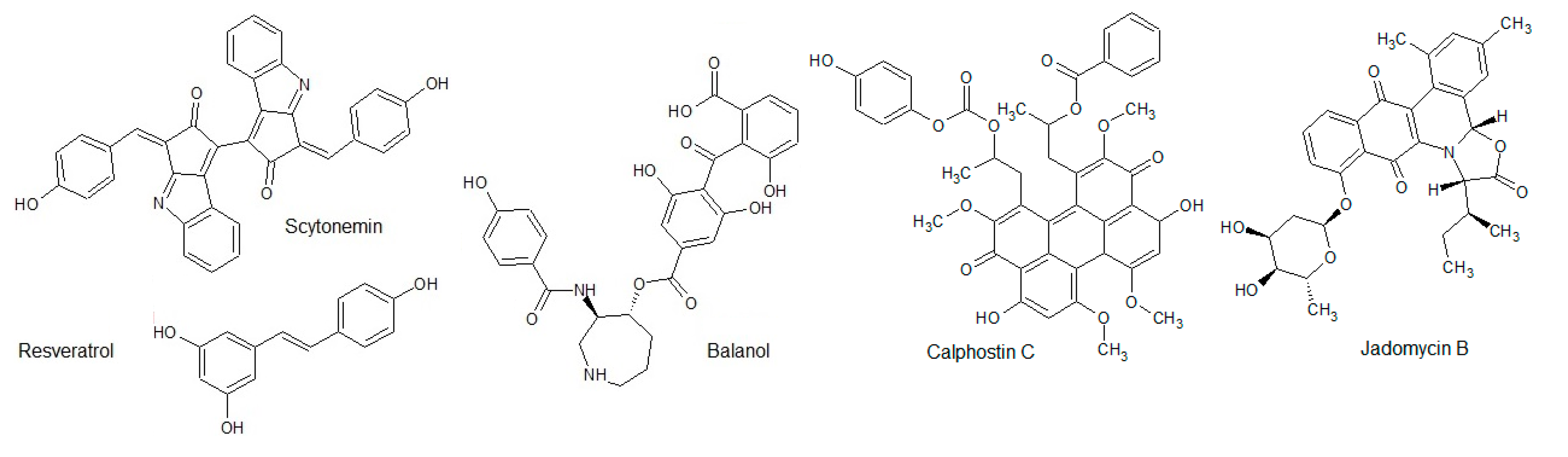 Biomolecules 10 01546 g008