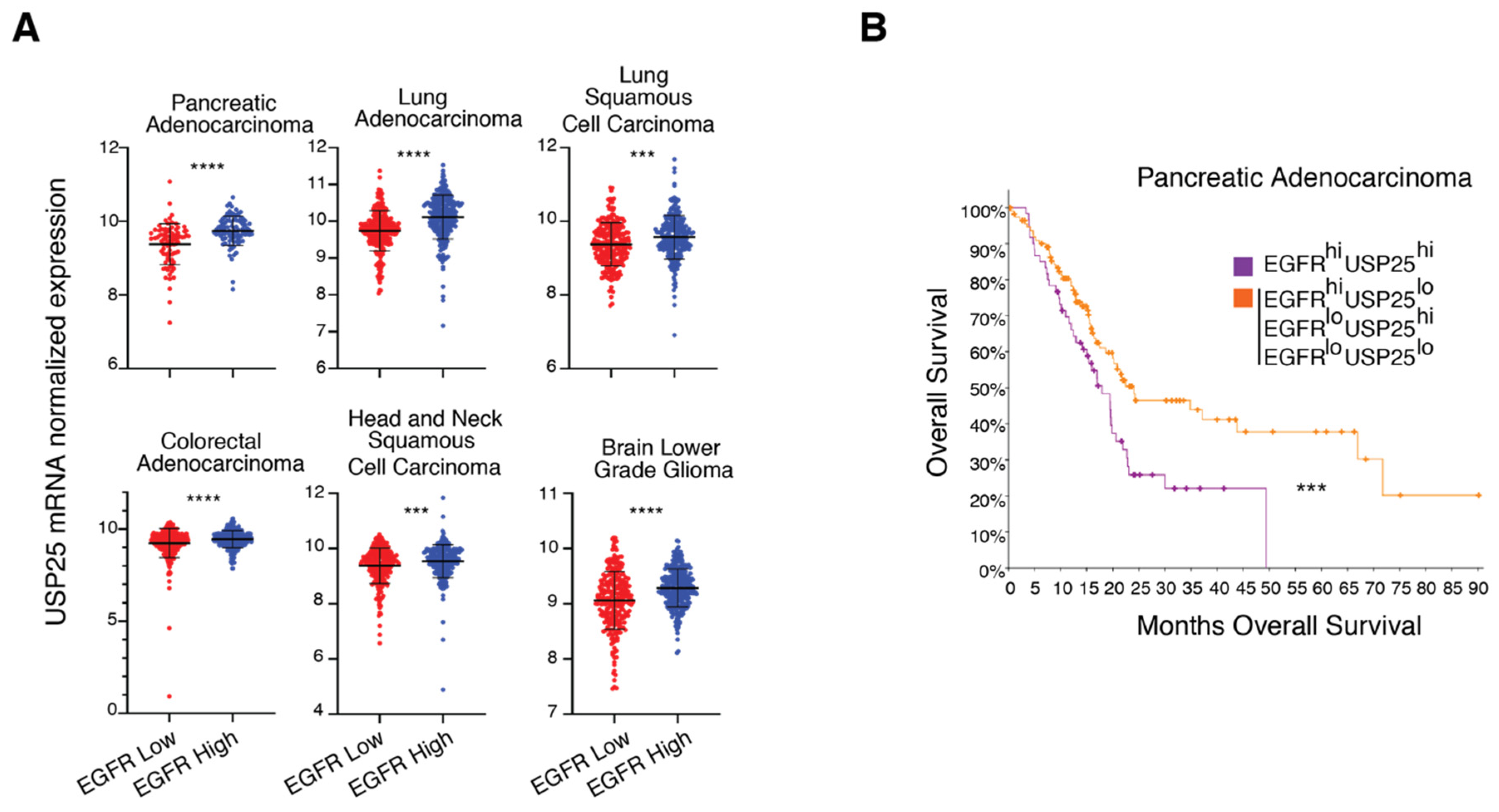 Biomolecules 10 01548 g006