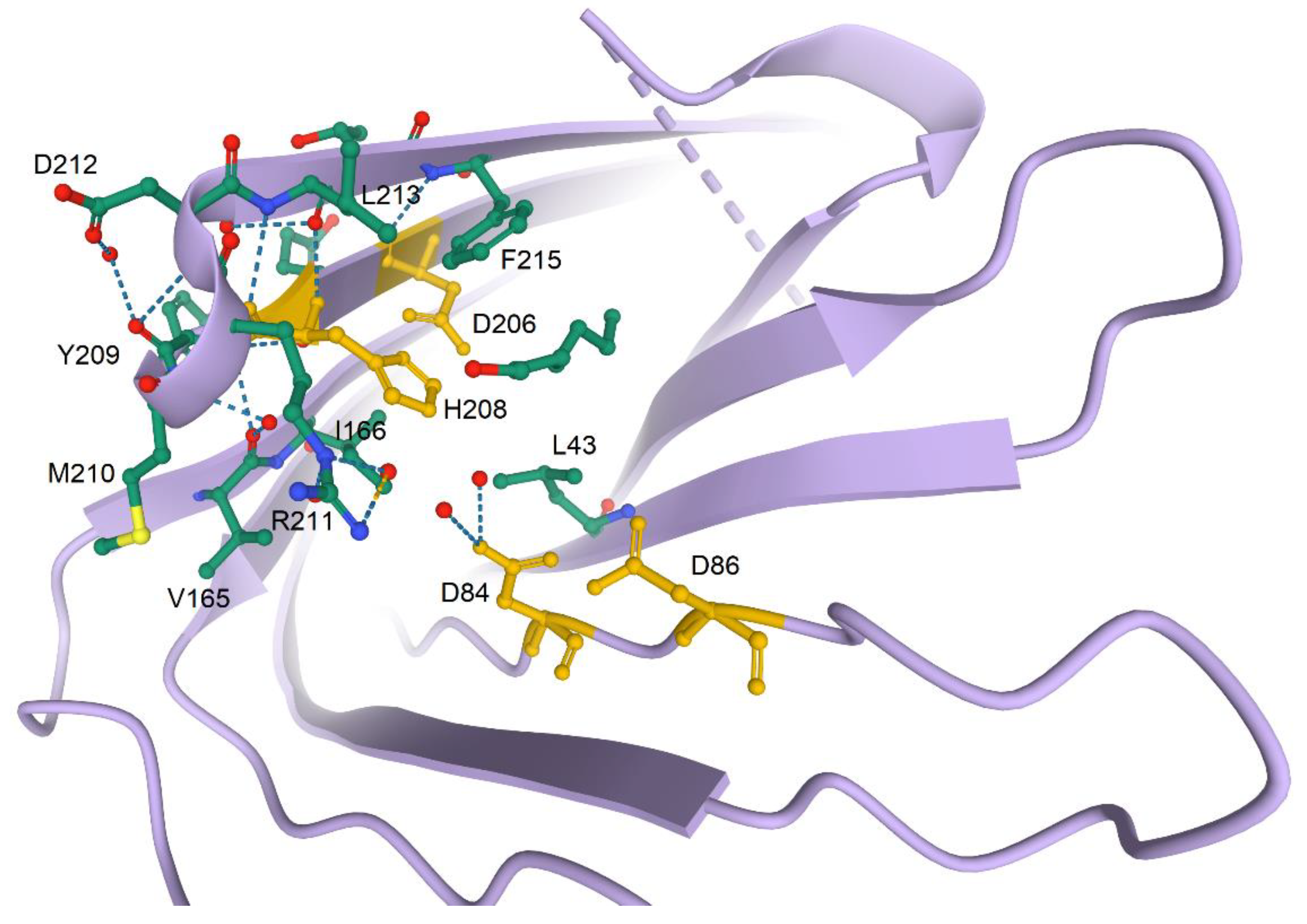 Biomolecules 10 01554 g005 Biomolecules 10 01554 g005