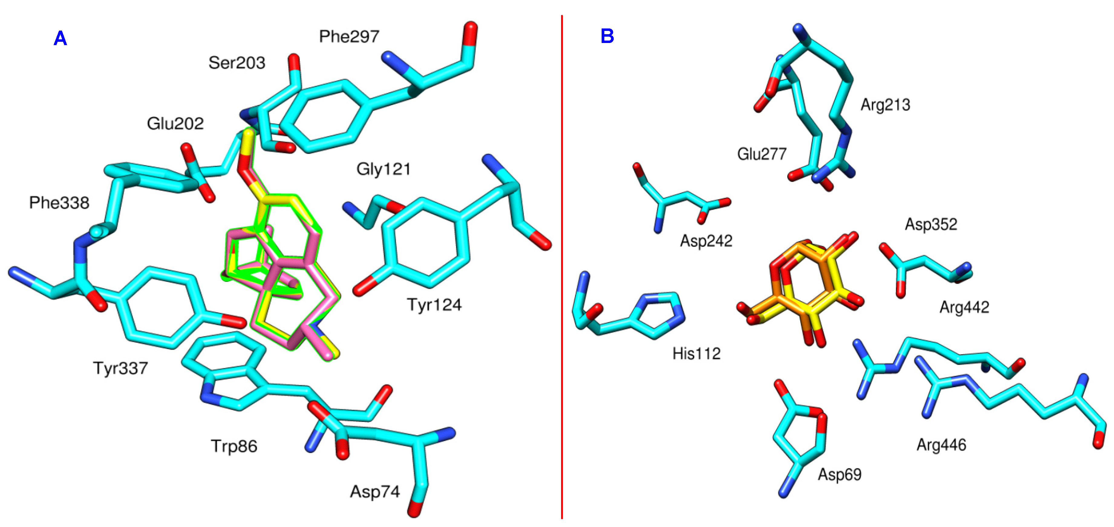 Biomolecules 10 01562 g001 Biomolecules 10 01562 g001