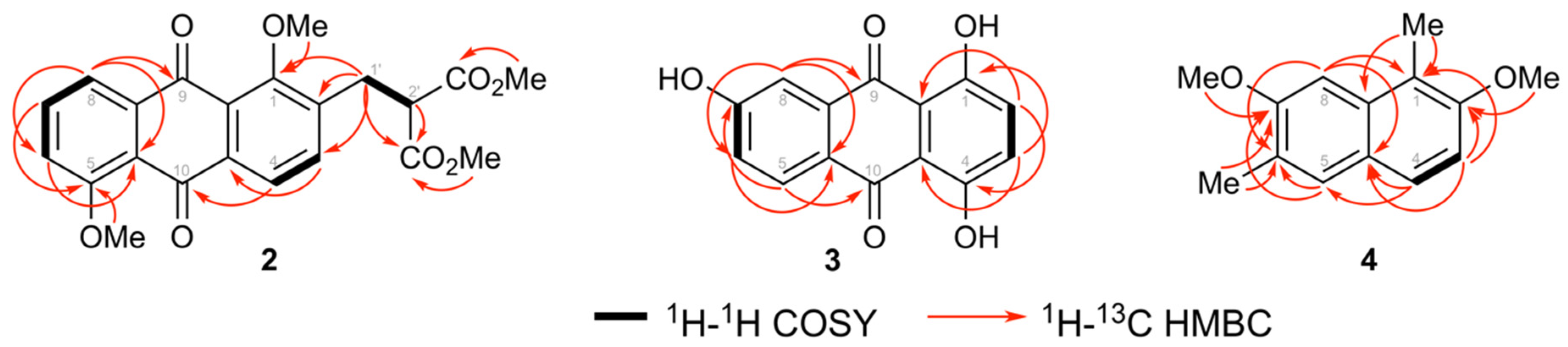 Biomolecules 10 01562 g004 Biomolecules 10 01562 g004