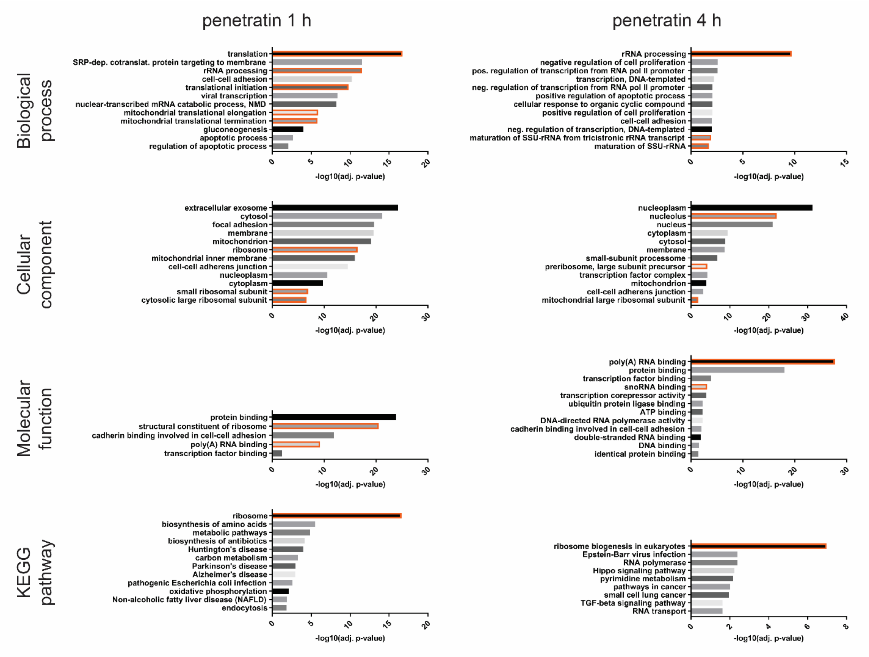 Biomolecules 10 01567 g002 Biomolecules 10 01567 g002