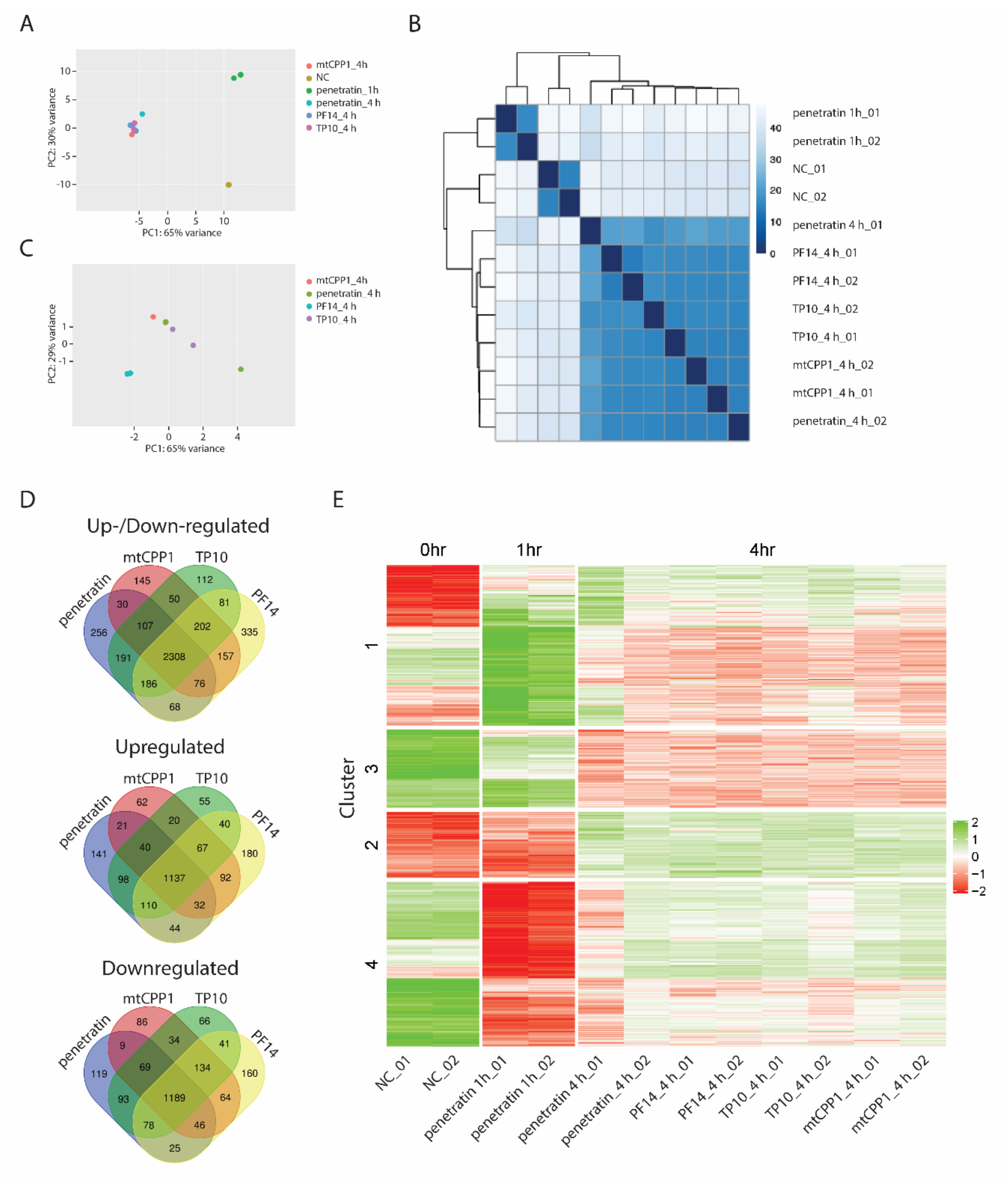 Biomolecules 10 01567 g004 Biomolecules 10 01567 g004