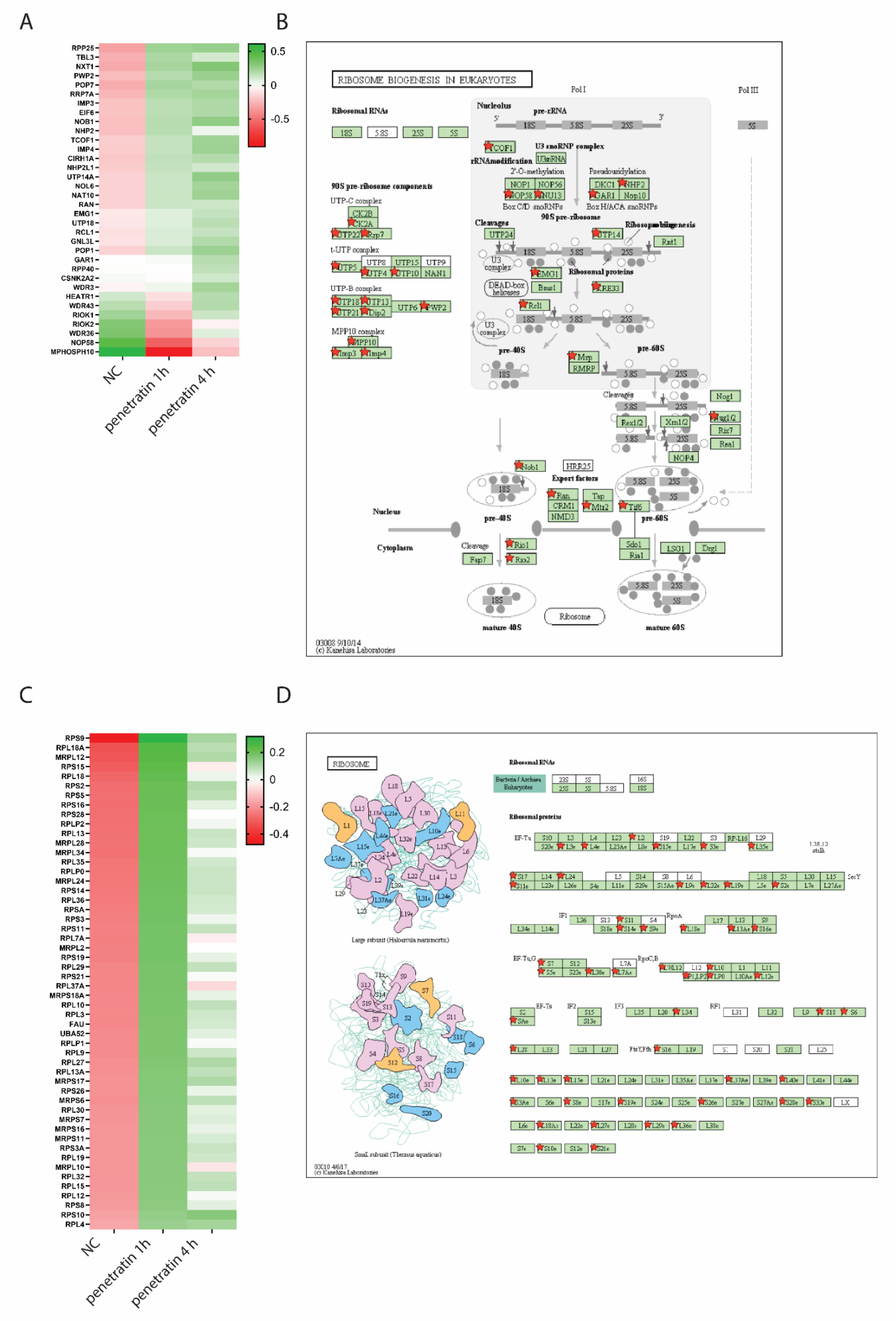 Biomolecules 10 01567 g005 Biomolecules 10 01567 g005