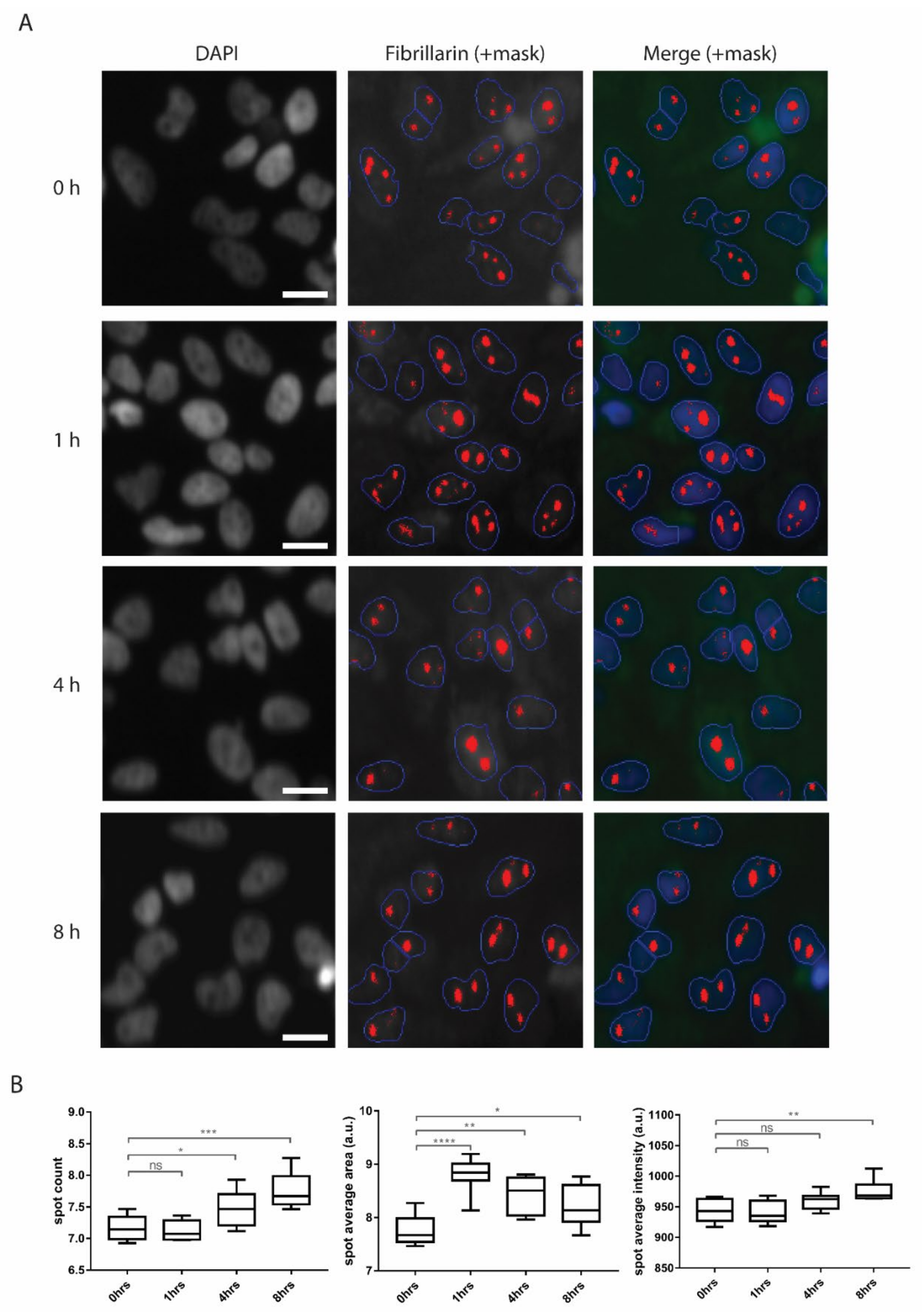 Biomolecules 10 01567 g006 Biomolecules 10 01567 g006