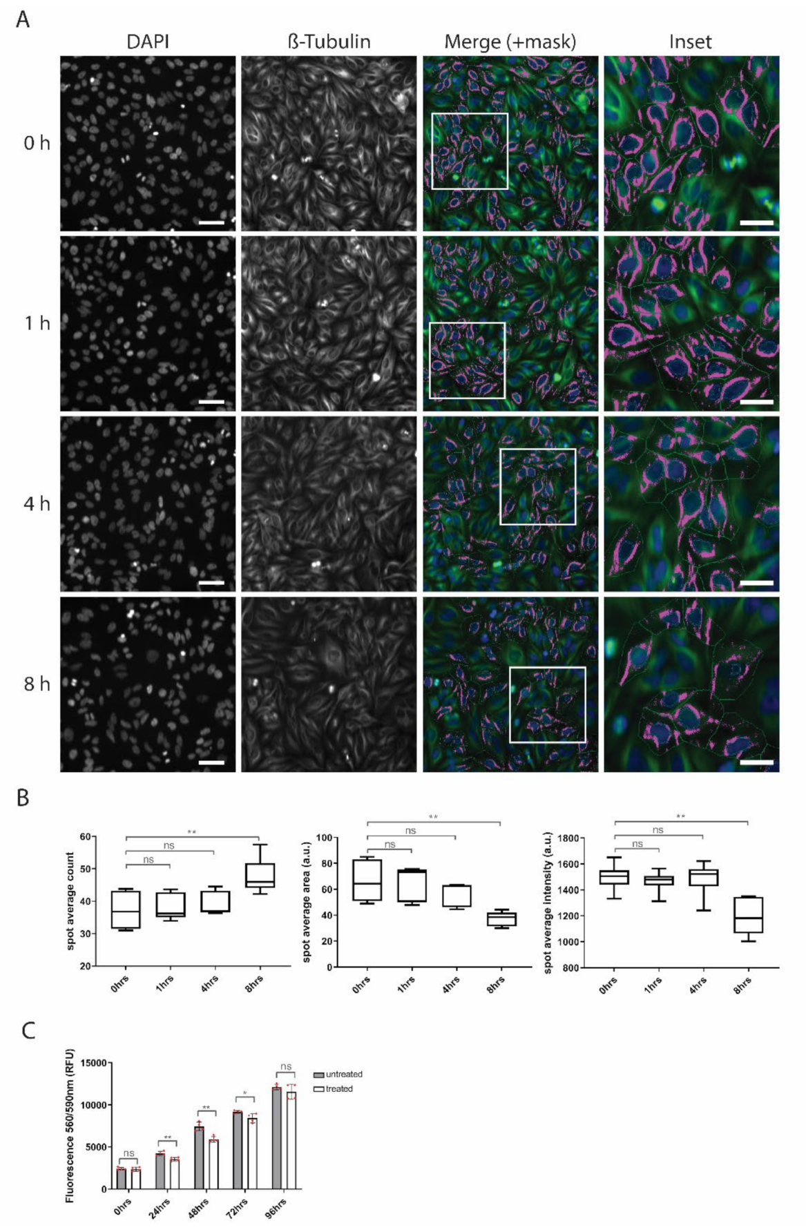 Biomolecules 10 01567 g008 Biomolecules 10 01567 g008