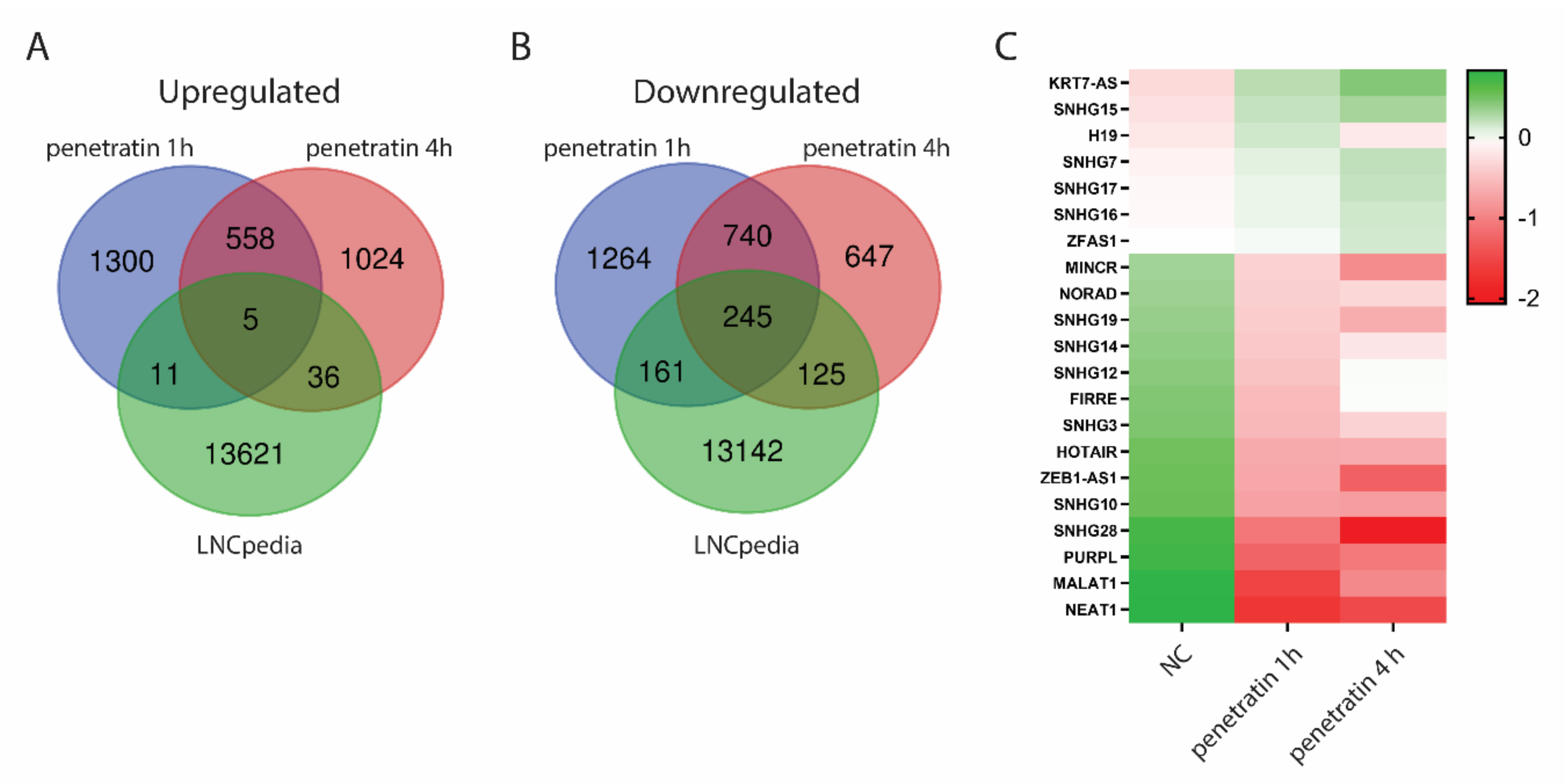 Biomolecules 10 01567 g009 Biomolecules 10 01567 g009