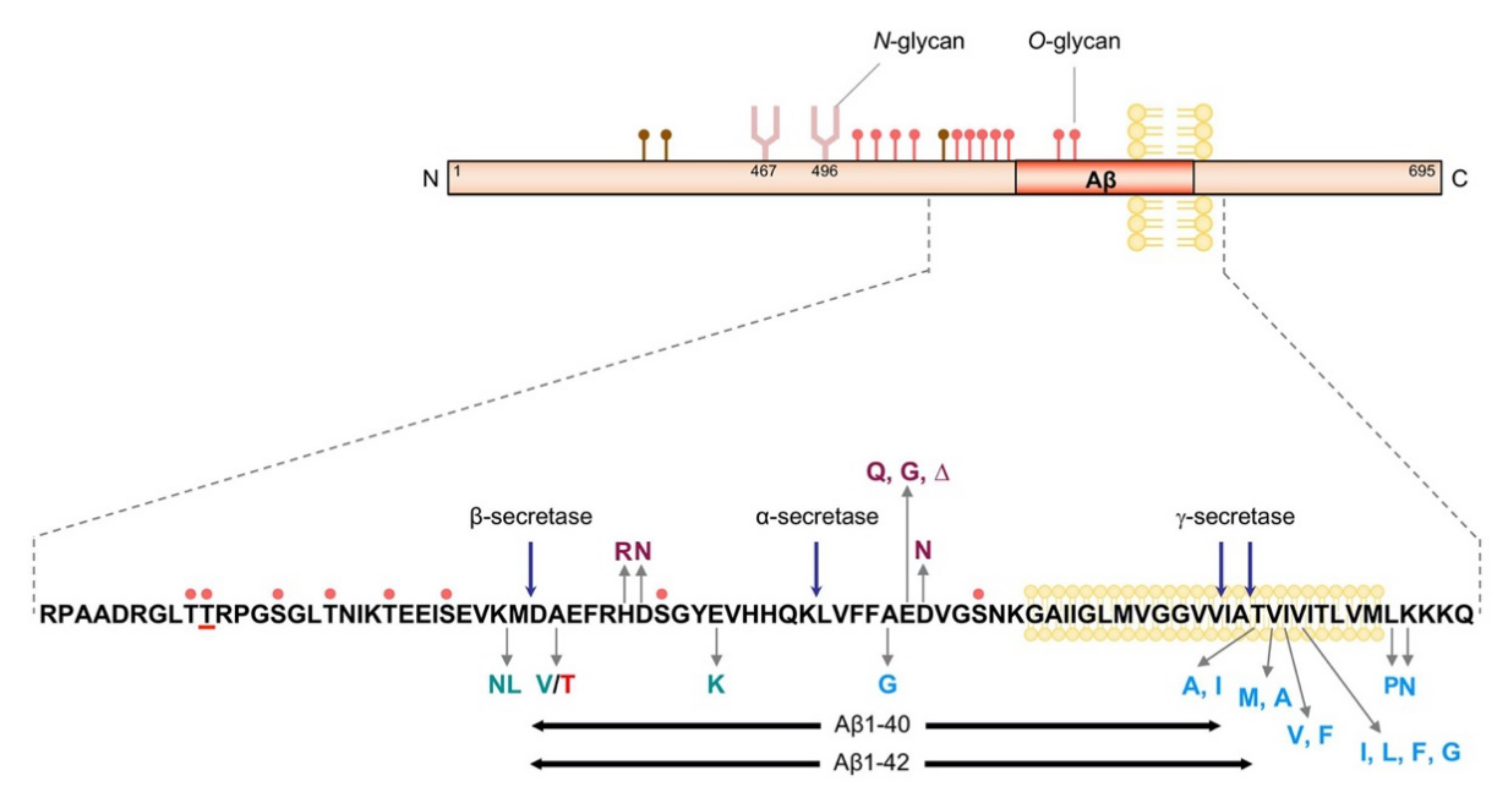 Biomolecules 10 01569 g001