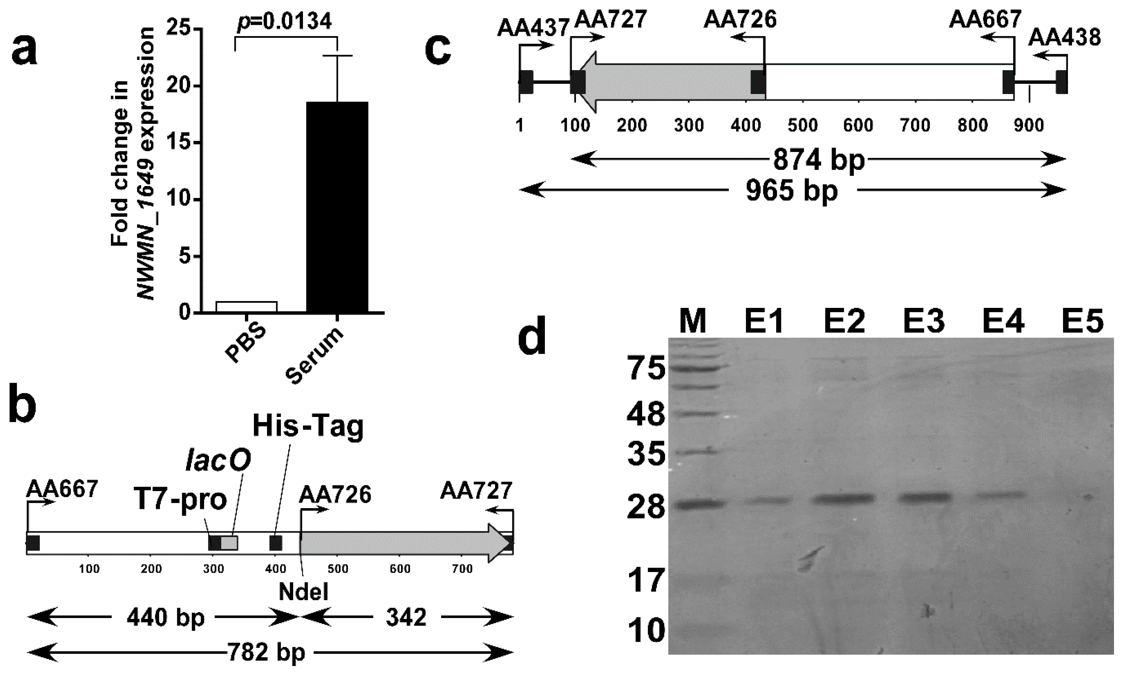 Biomolecules 10 01580 g003