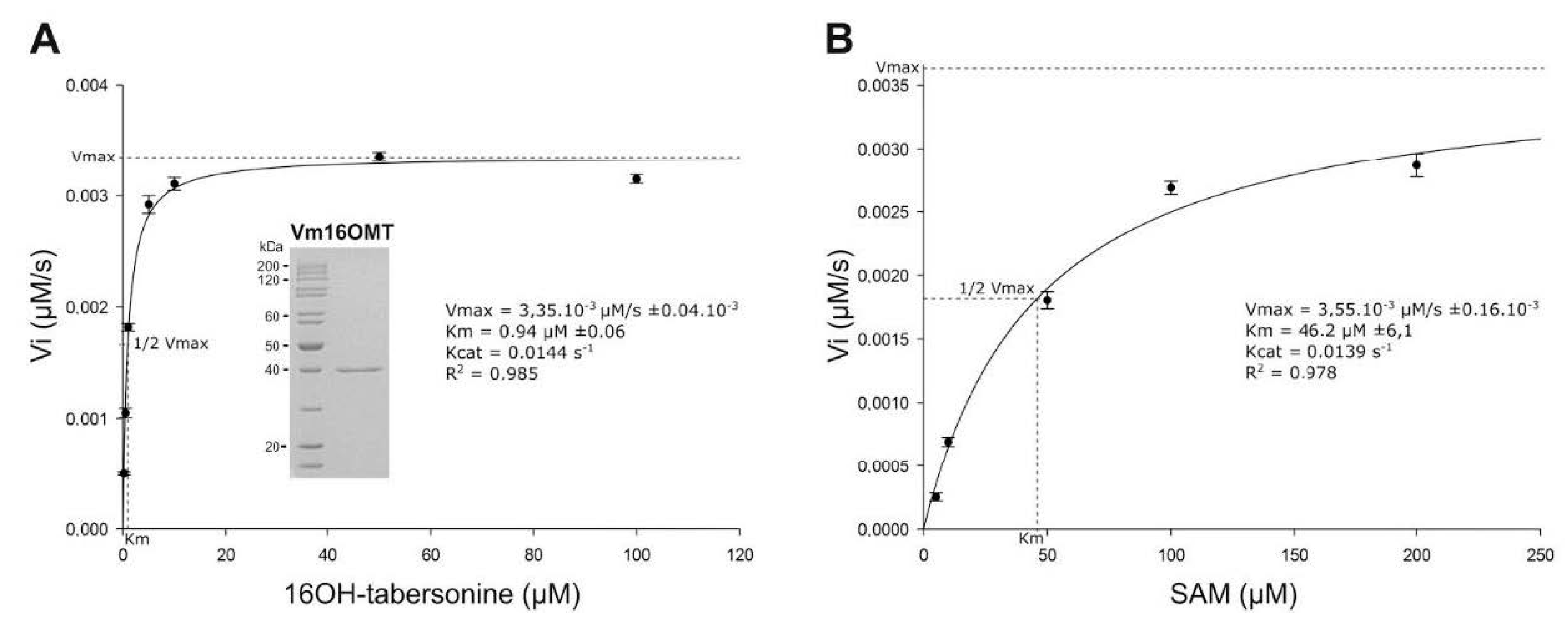 Biomolecules 10 01595 g008