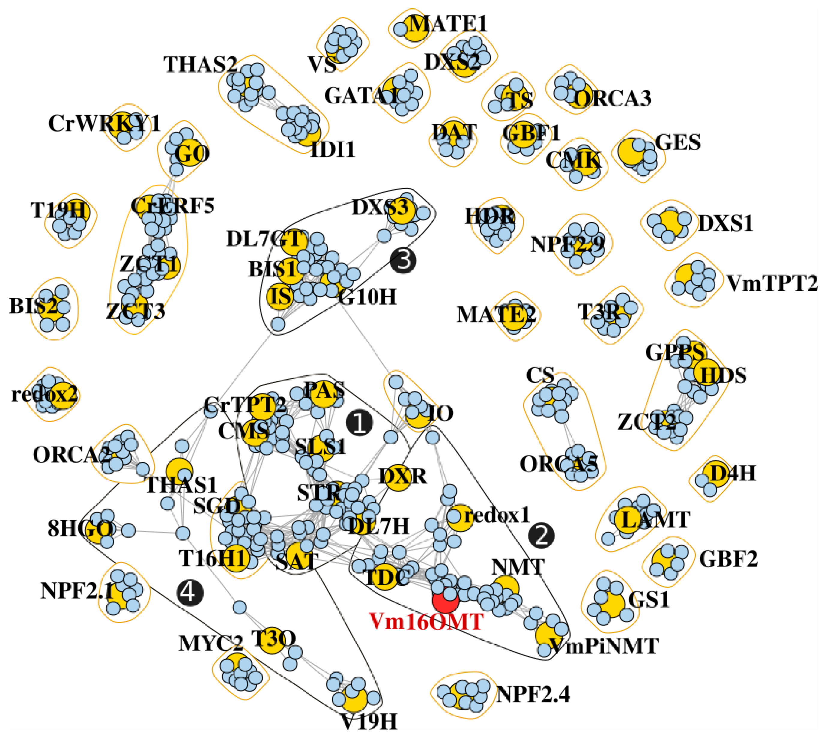 Biomolecules 10 01595 g010
