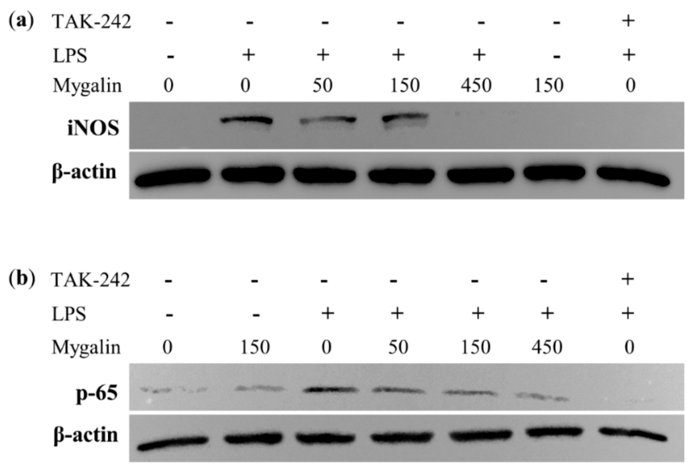 Biomolecules 10 01624 g010 Biomolecules 10 01624 g010