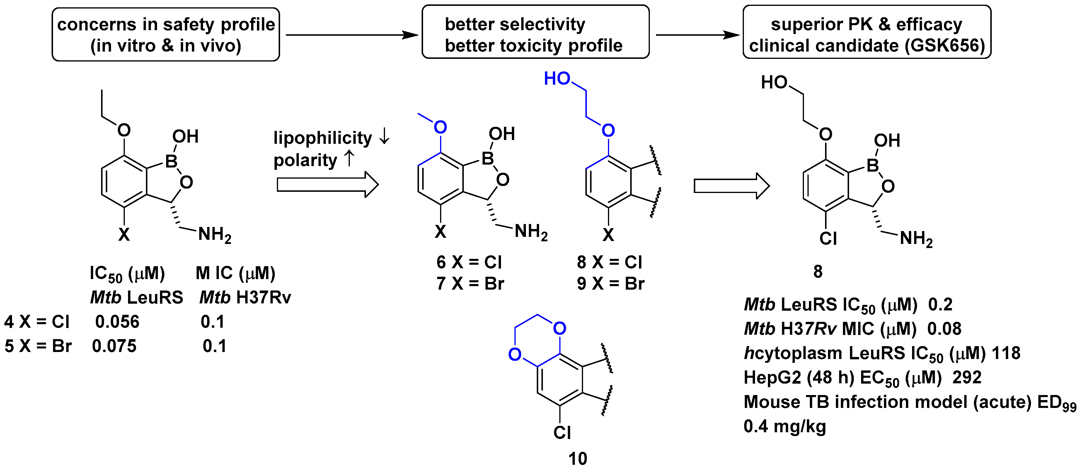 Biomolecules  Free Full-Text  Recent Development of Aminoacyl 