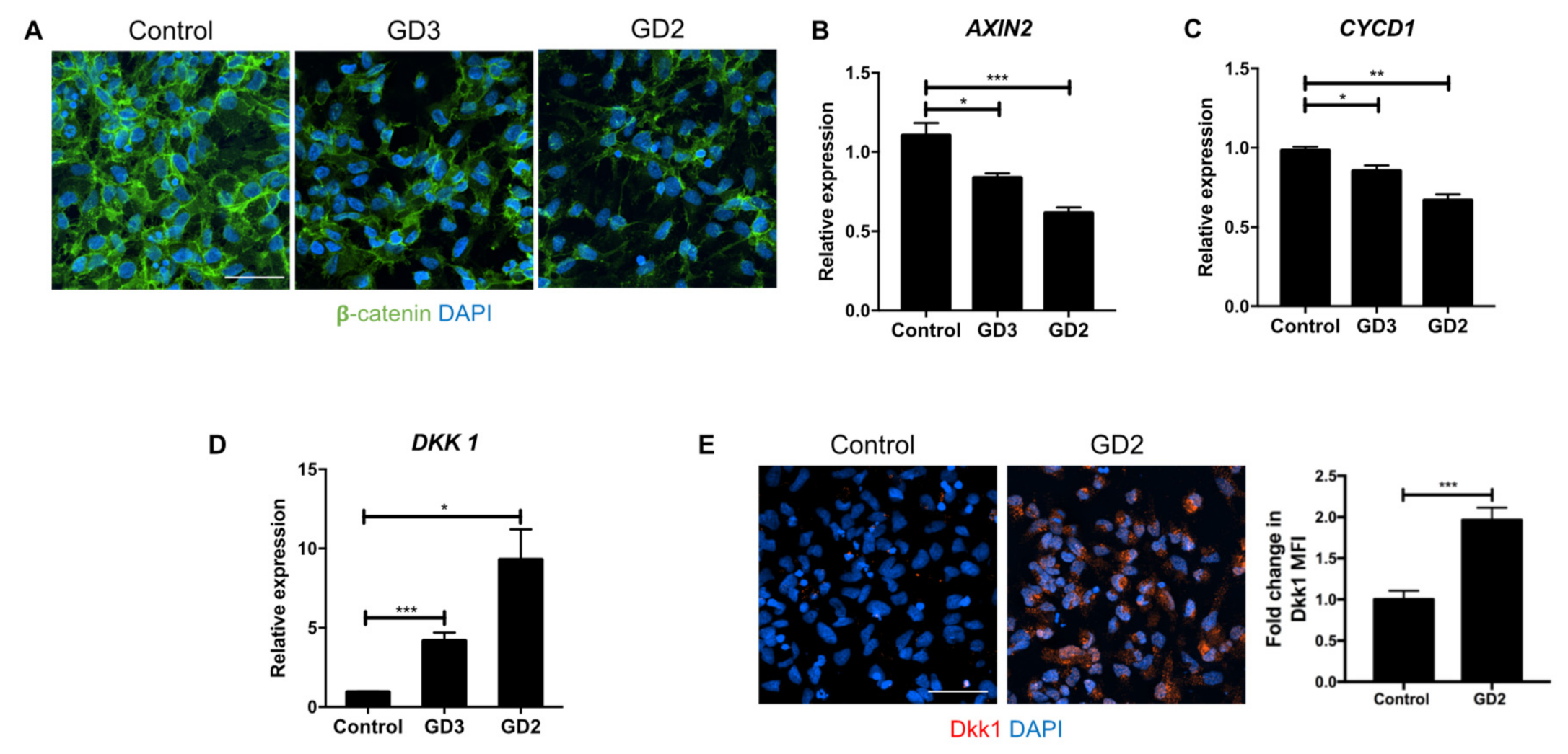 Biomolecules 10 01630 g001