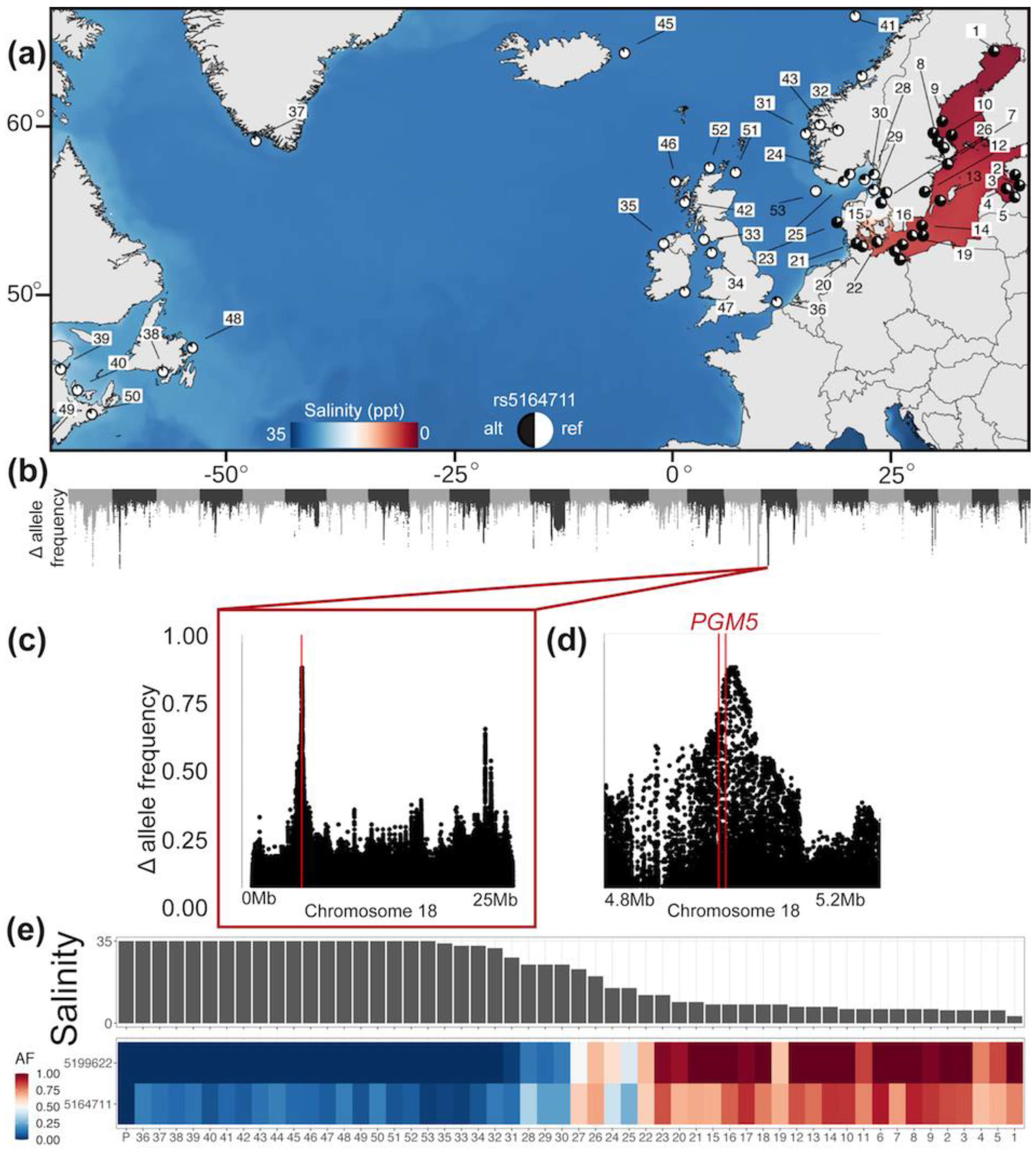 Biomolecules Free Full Text Structure And Characterization Of Phosphoglucomutase 5 From Atlantic And Baltic Herring An Inactive Enzyme With Intact Substrate Binding Html