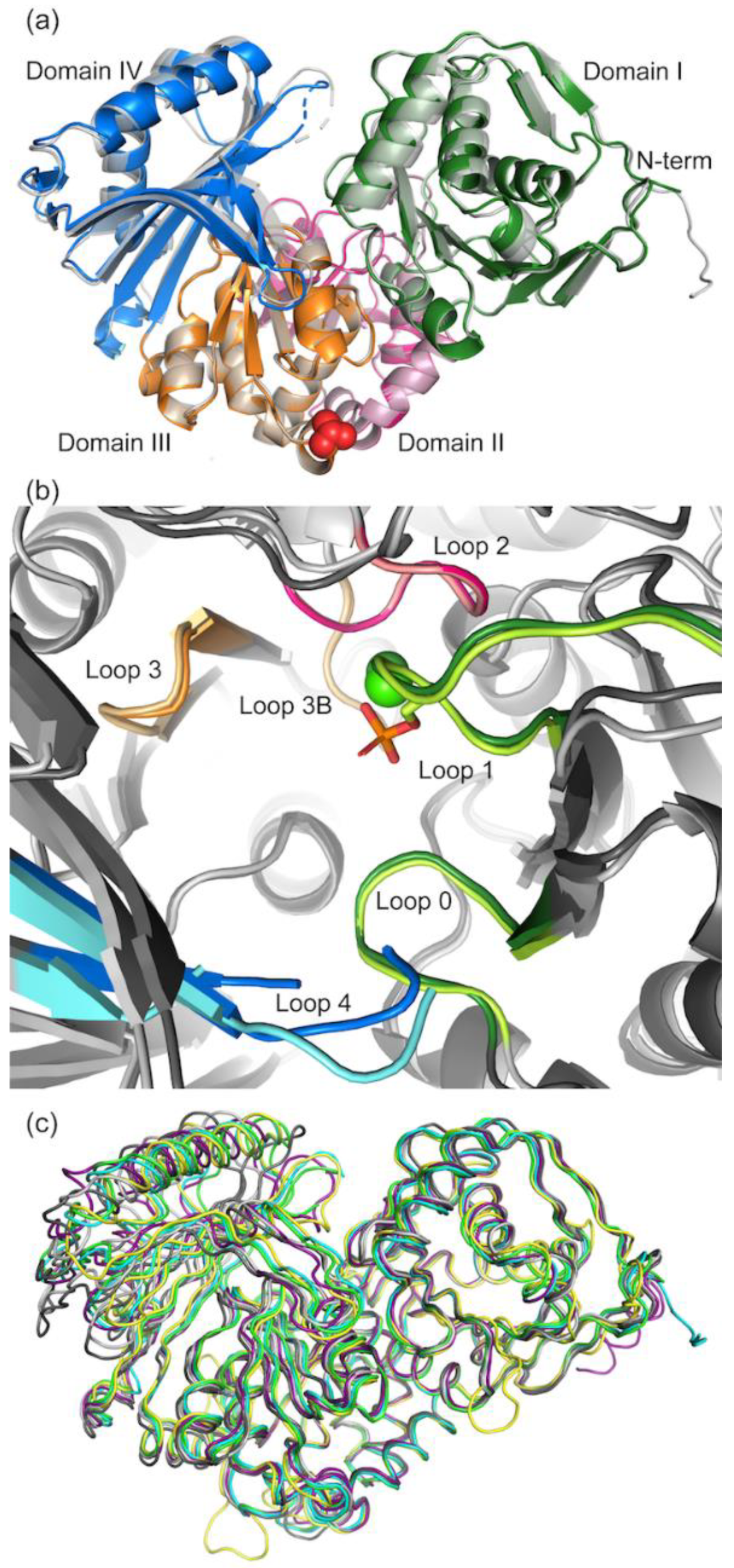 Biomolecules 10 01631 g004