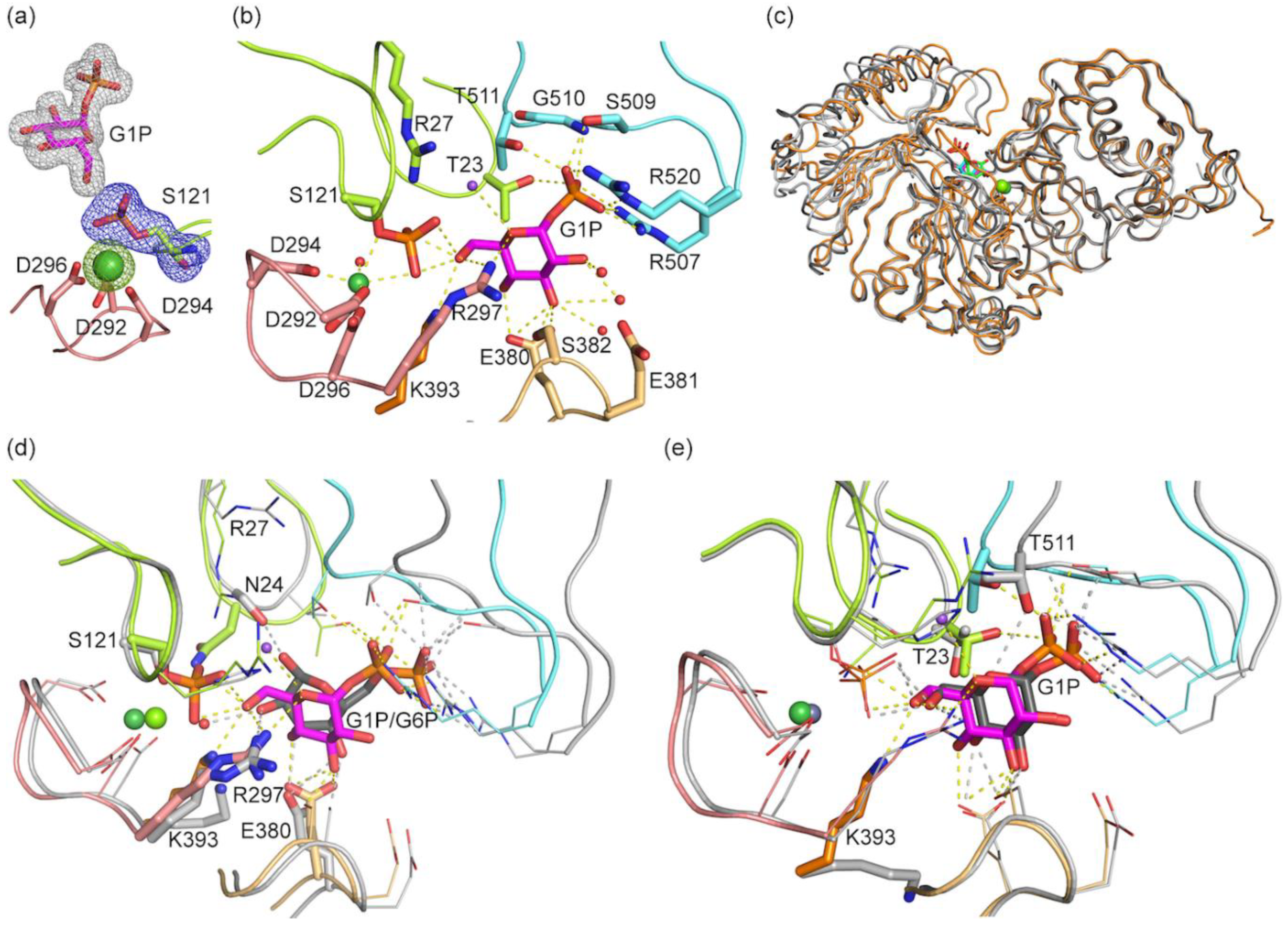 Biomolecules 10 01631 g006