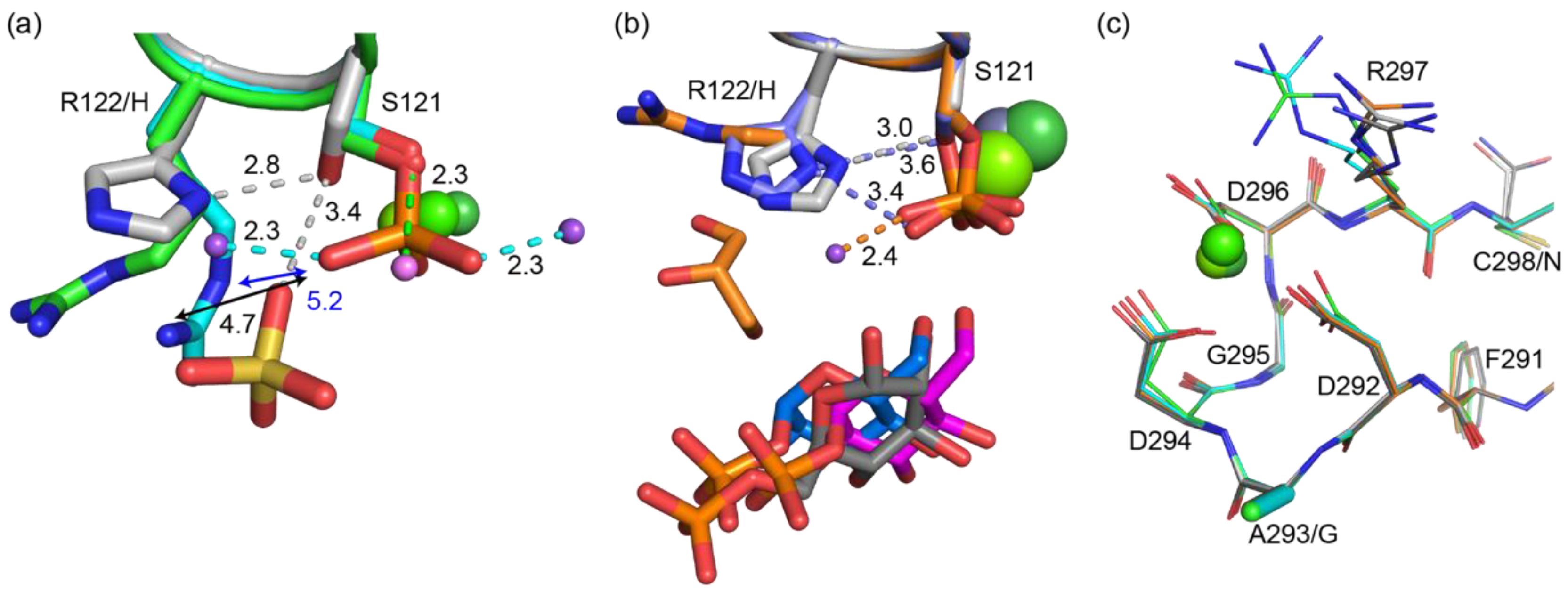 Biomolecules 10 01631 g008