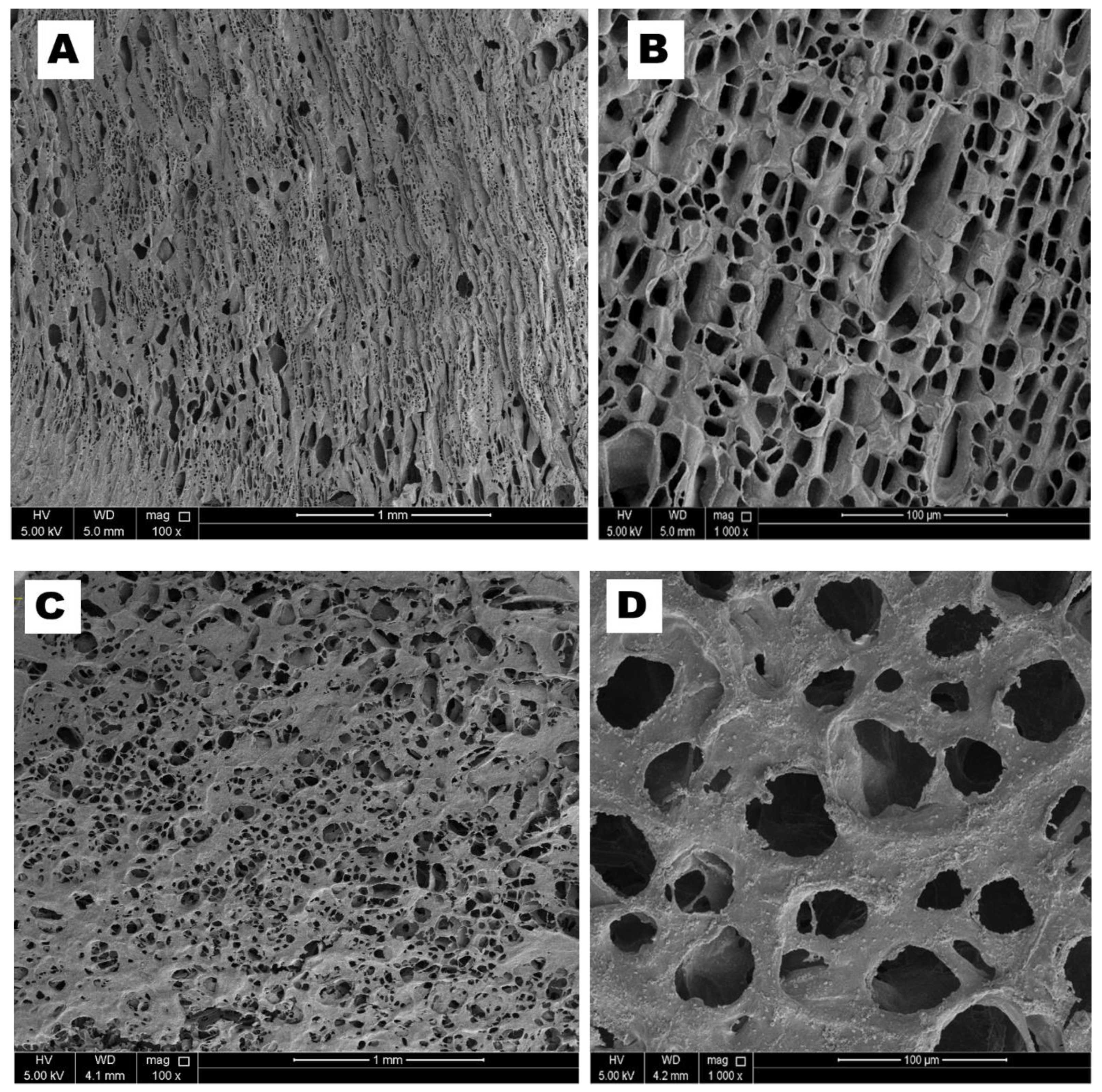 Biomolecules 10 01632 g004