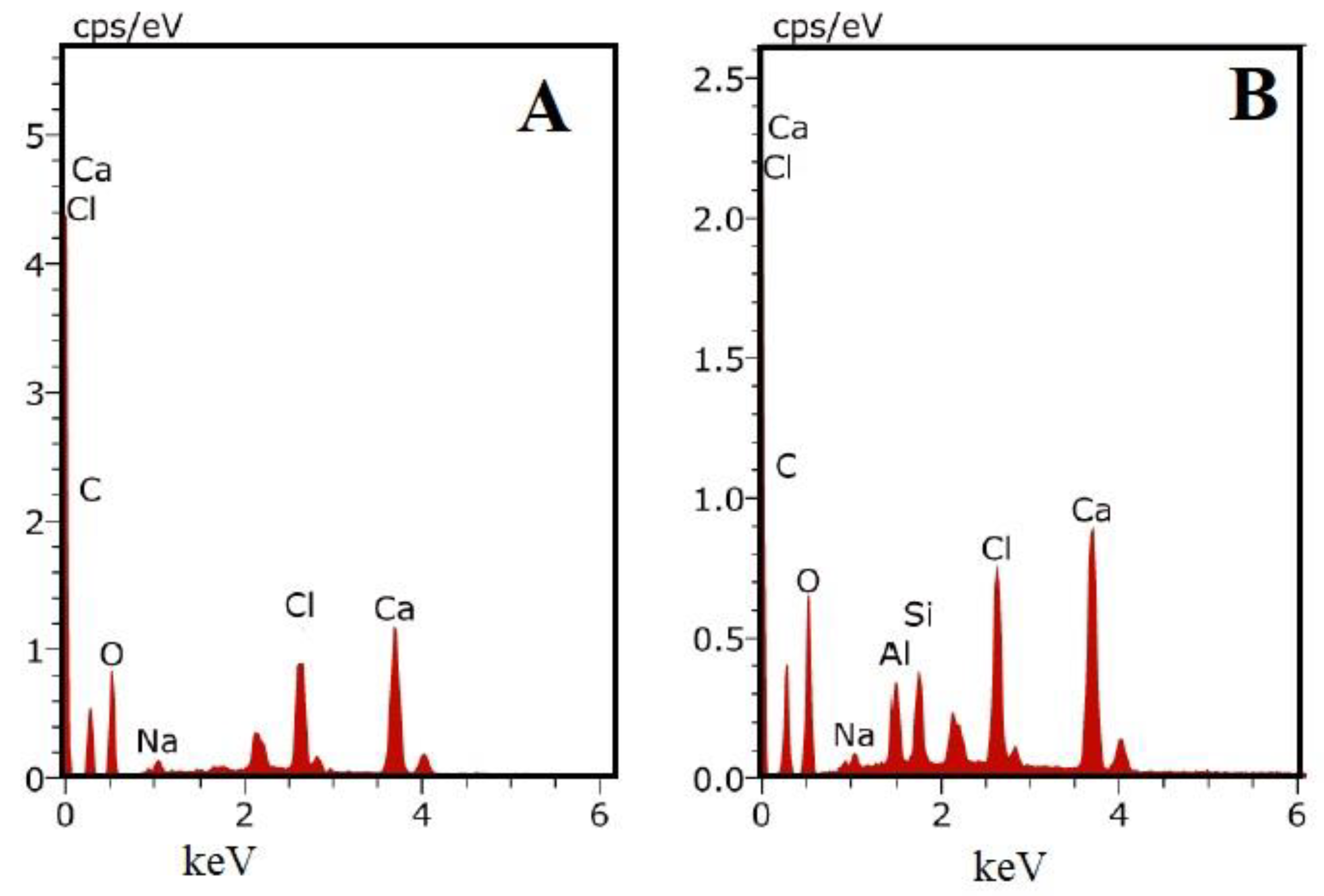 Biomolecules 10 01632 g007