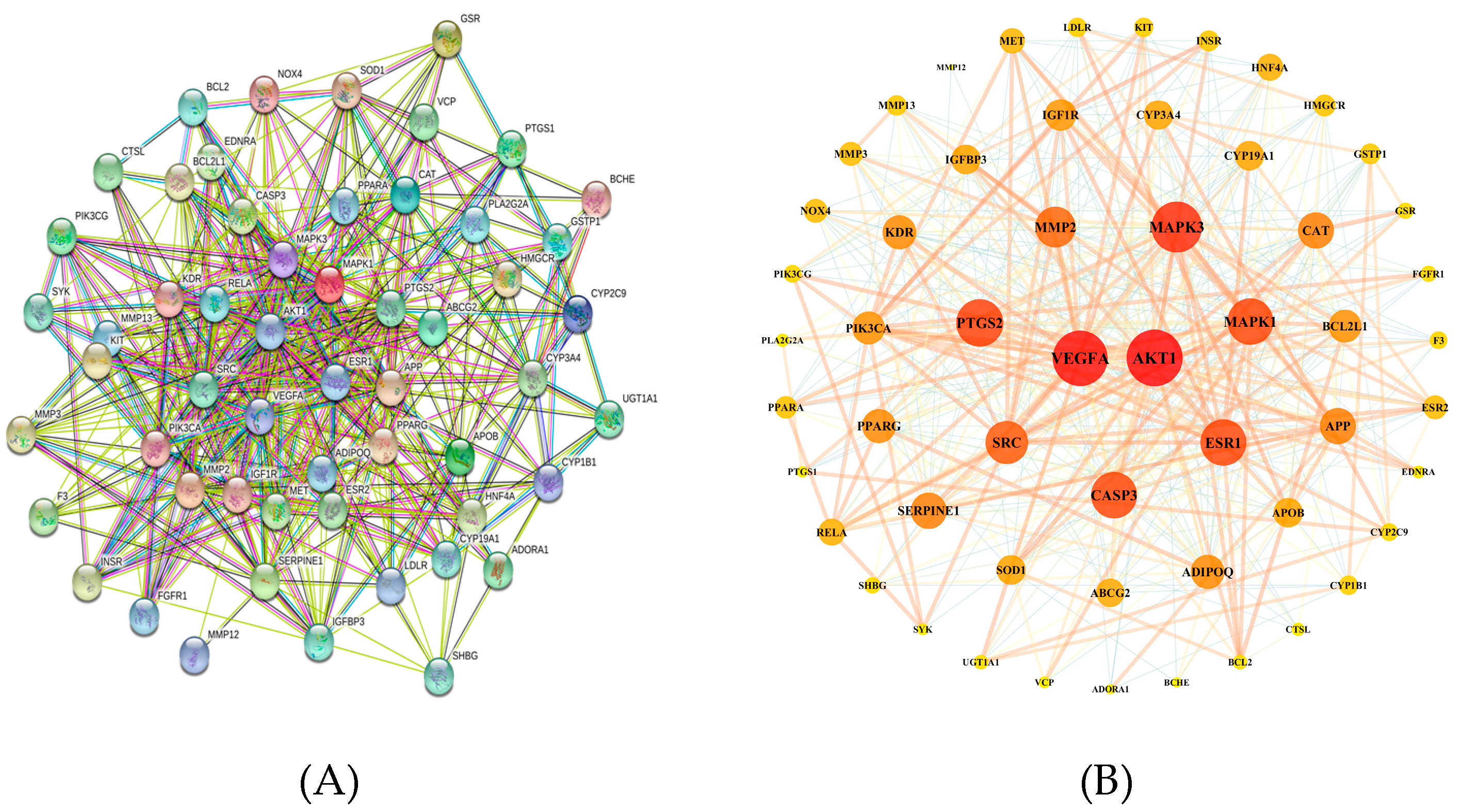 Biomolecules 10 01644 g003 Biomolecules 10 01644 g003