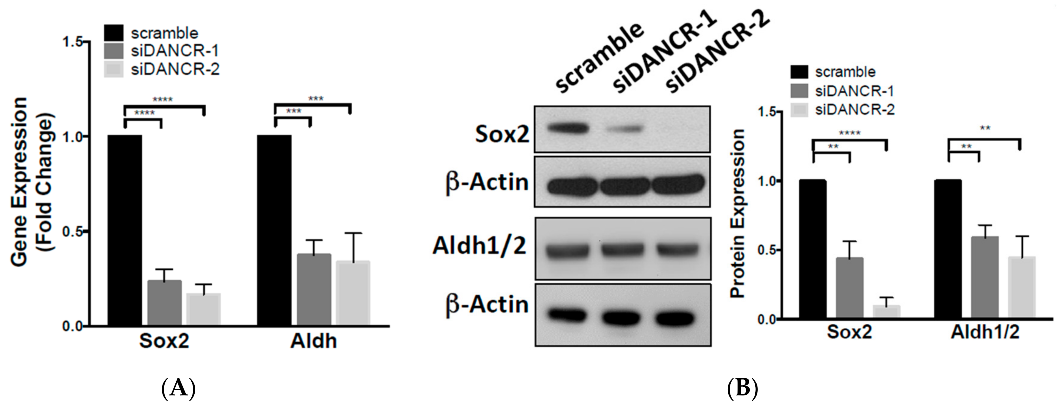 Biomolecules 10 01646 g003a Biomolecules 10 01646 g003a