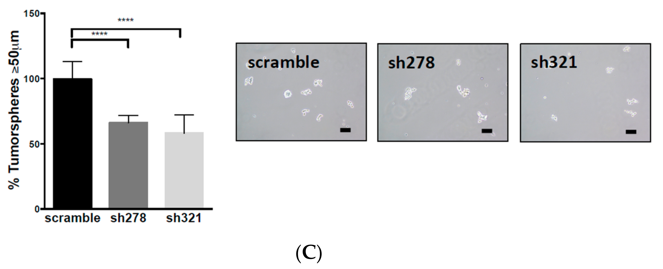 Biomolecules 10 01646 g003b Biomolecules 10 01646 g003b