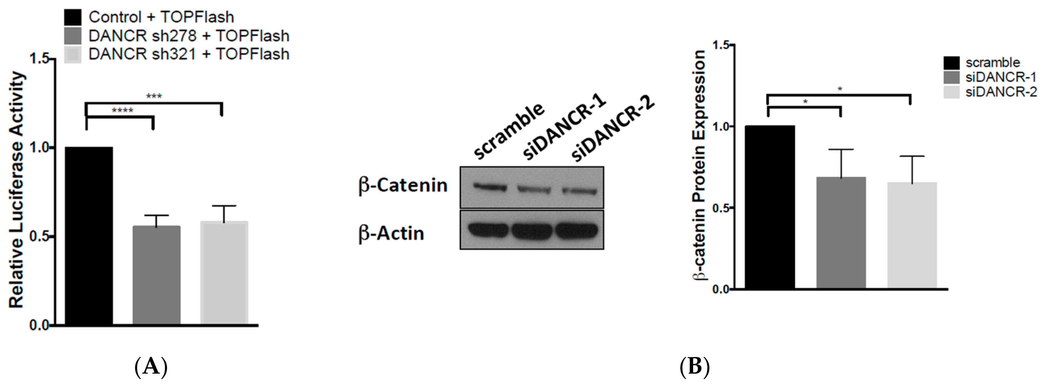 Biomolecules 10 01646 g004a Biomolecules 10 01646 g004a