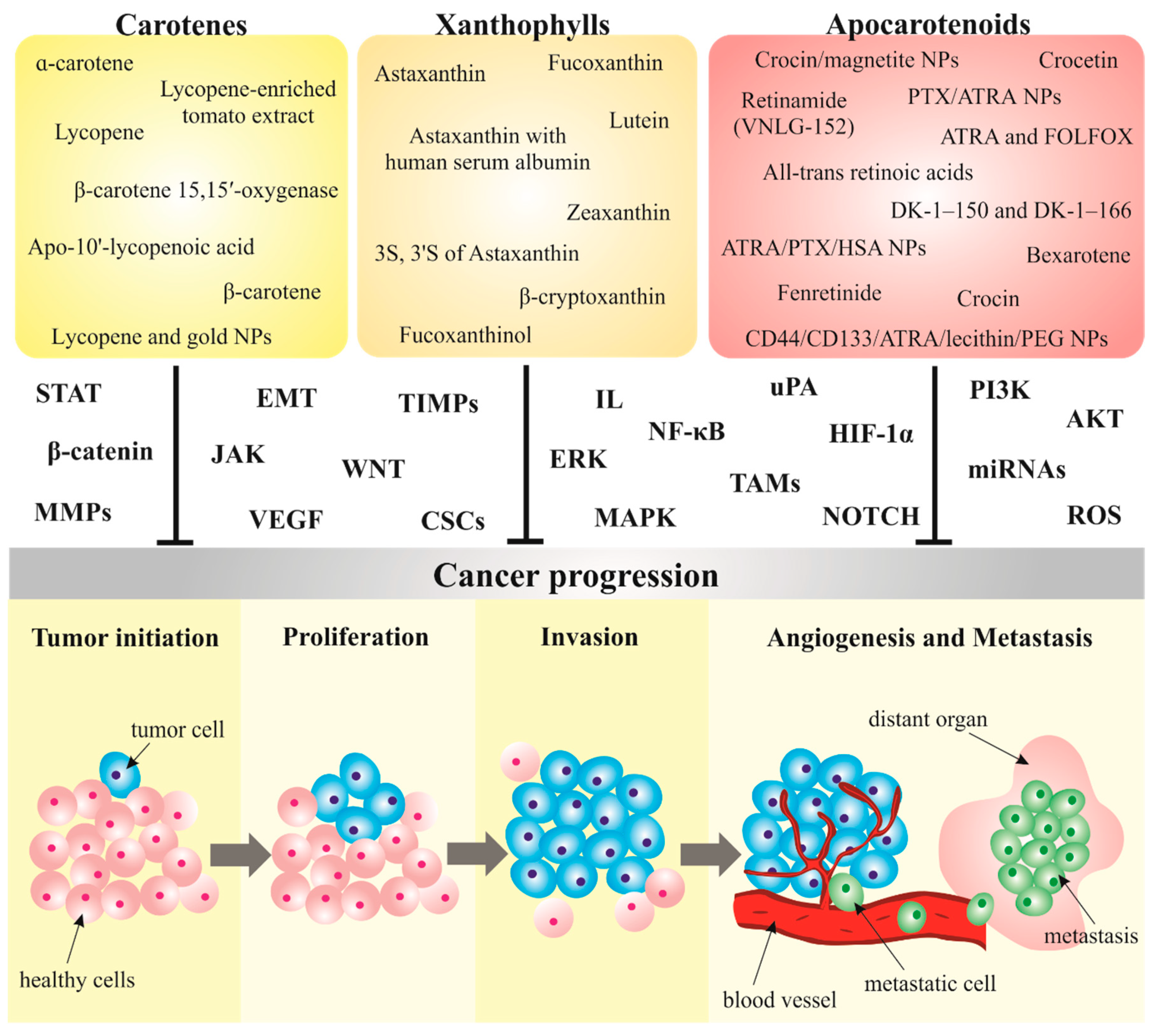 Biomolecules 10 01653 g003 Biomolecules 10 01653 g003