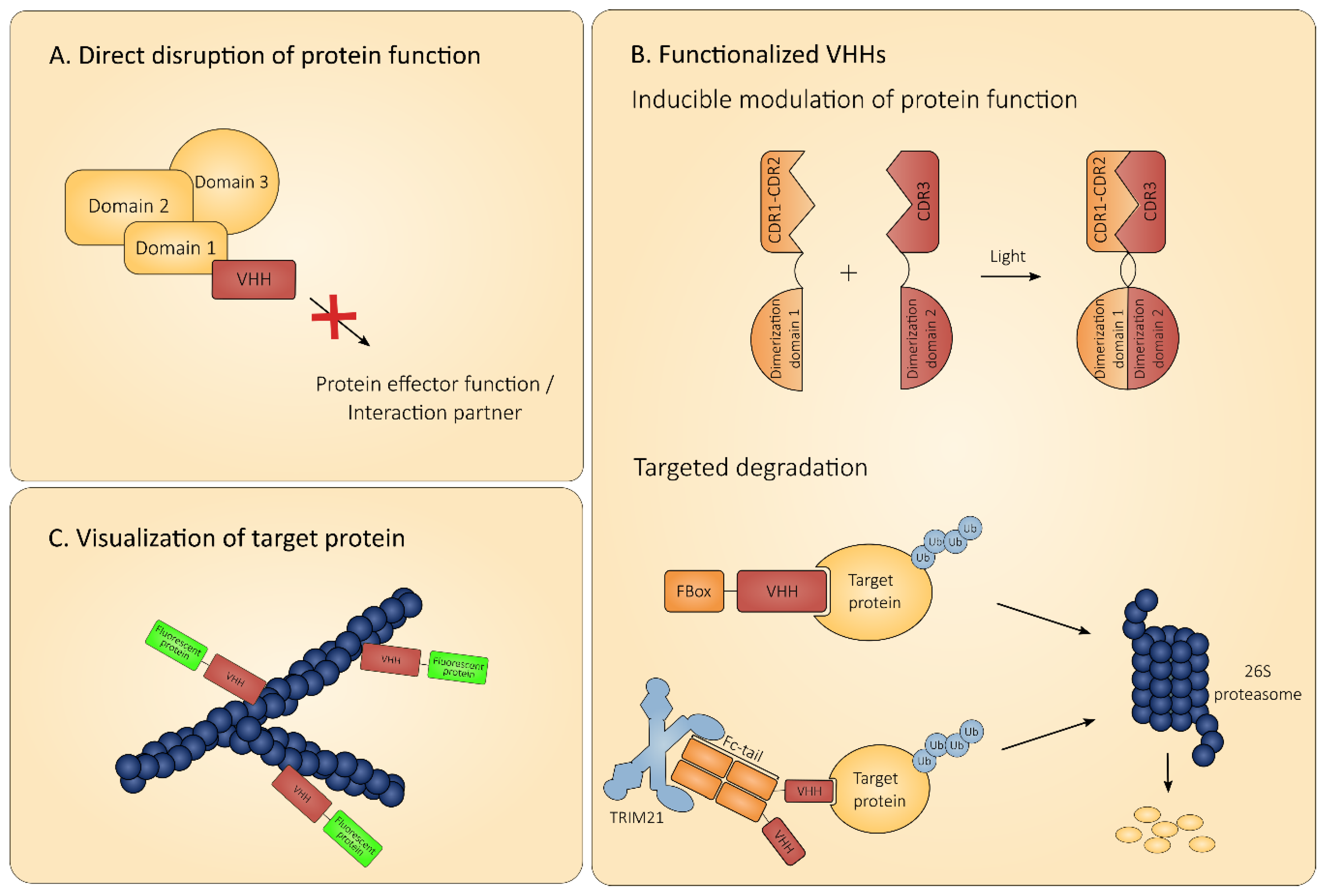 Biomolecules 10 01663 g003 Biomolecules 10 01663 g003