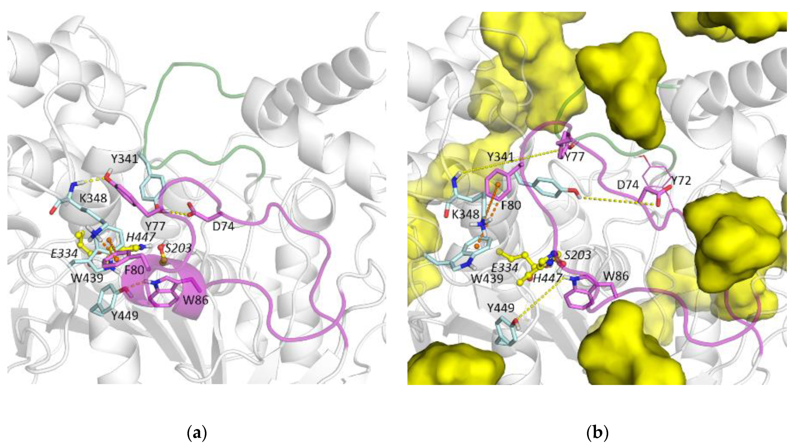 Biomolecules 10 01664 g009 Biomolecules 10 01664 g009