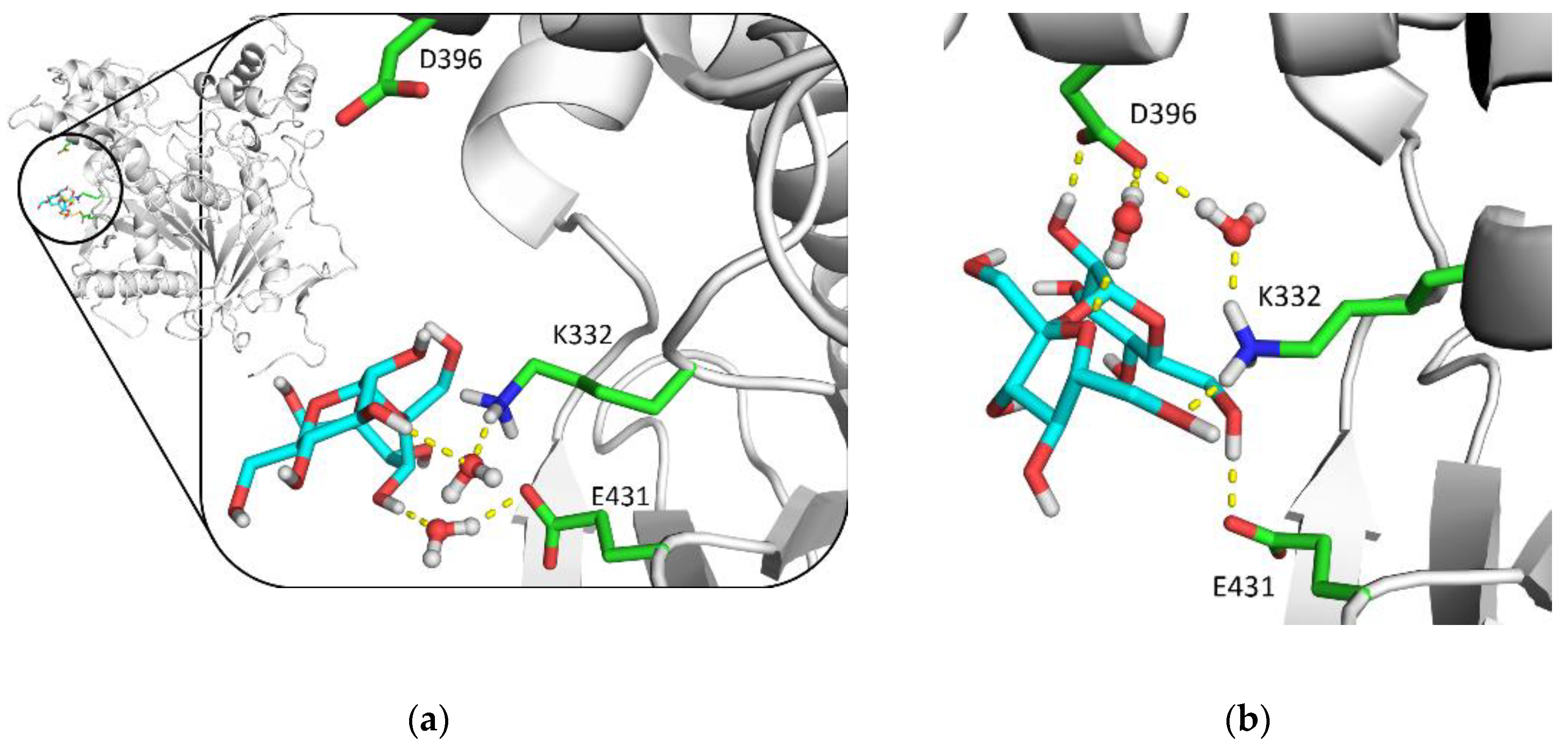 Biomolecules 10 01664 g010 Biomolecules 10 01664 g010