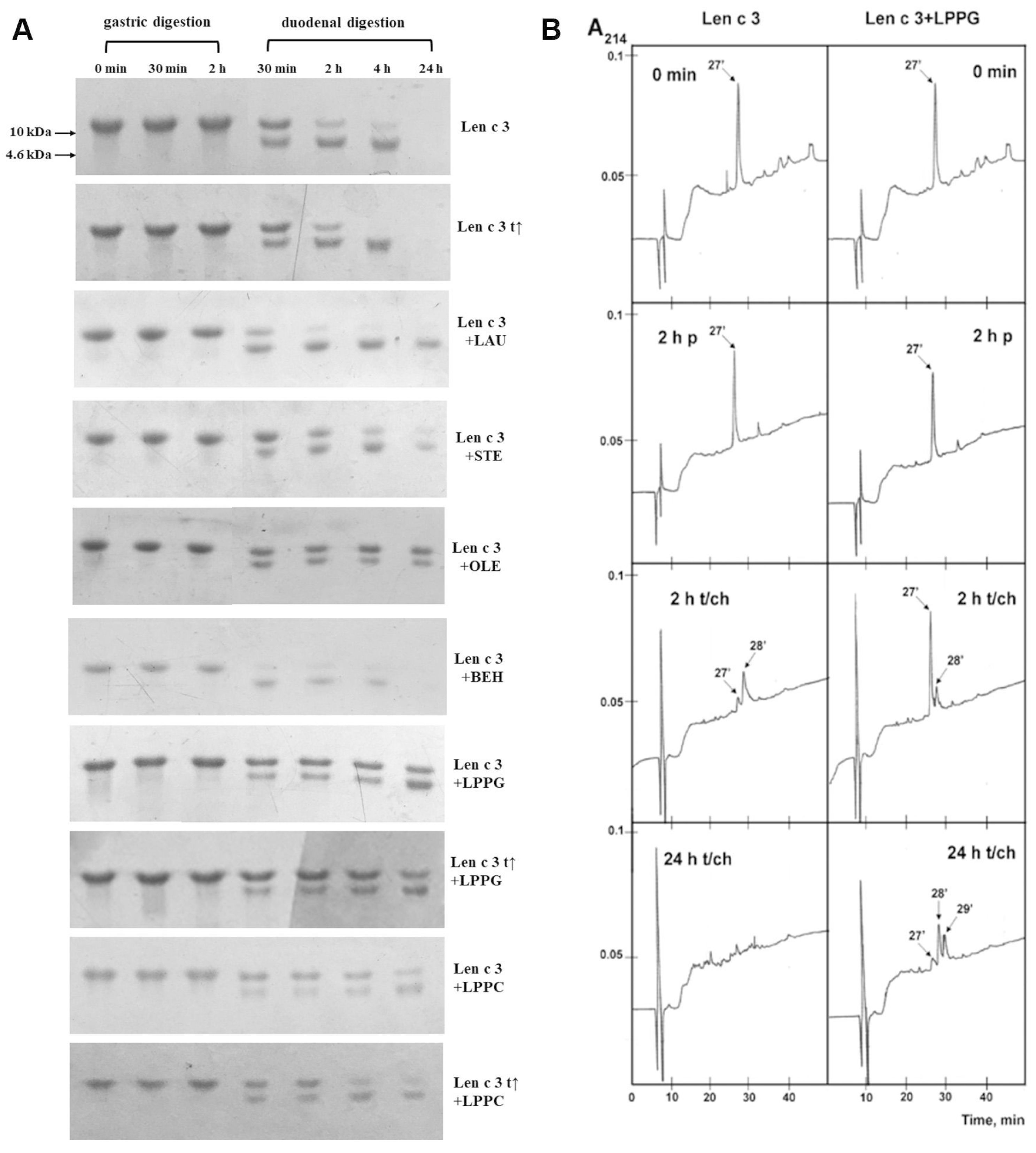 Biomolecules 10 01668 g004 Biomolecules 10 01668 g004