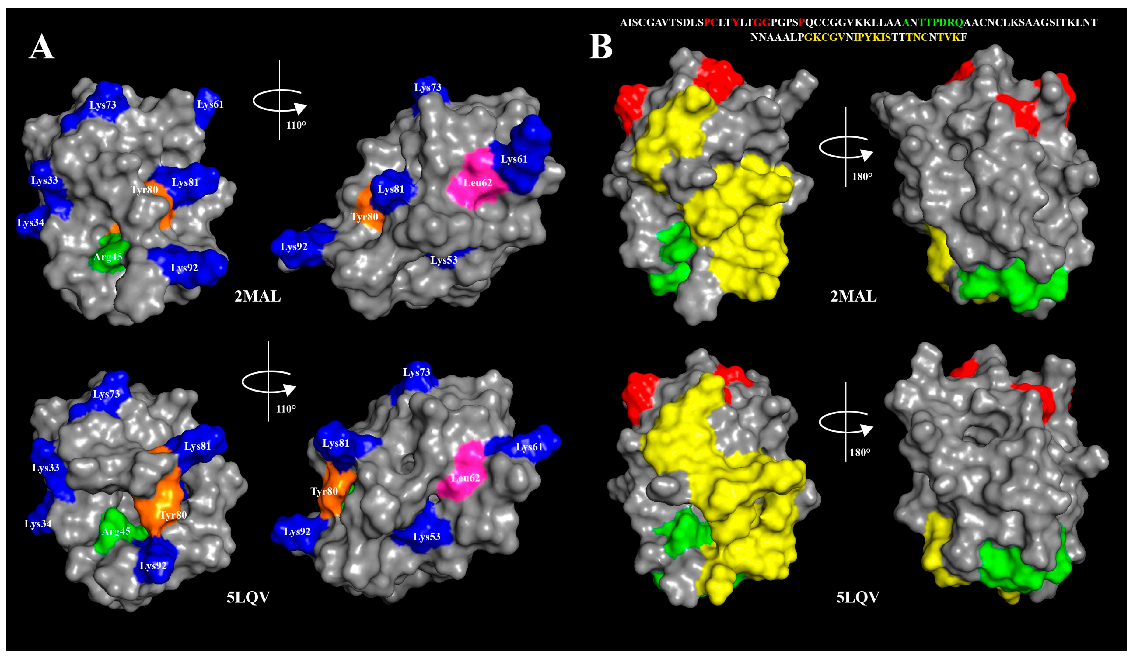 Biomolecules 10 01668 g008 Biomolecules 10 01668 g008