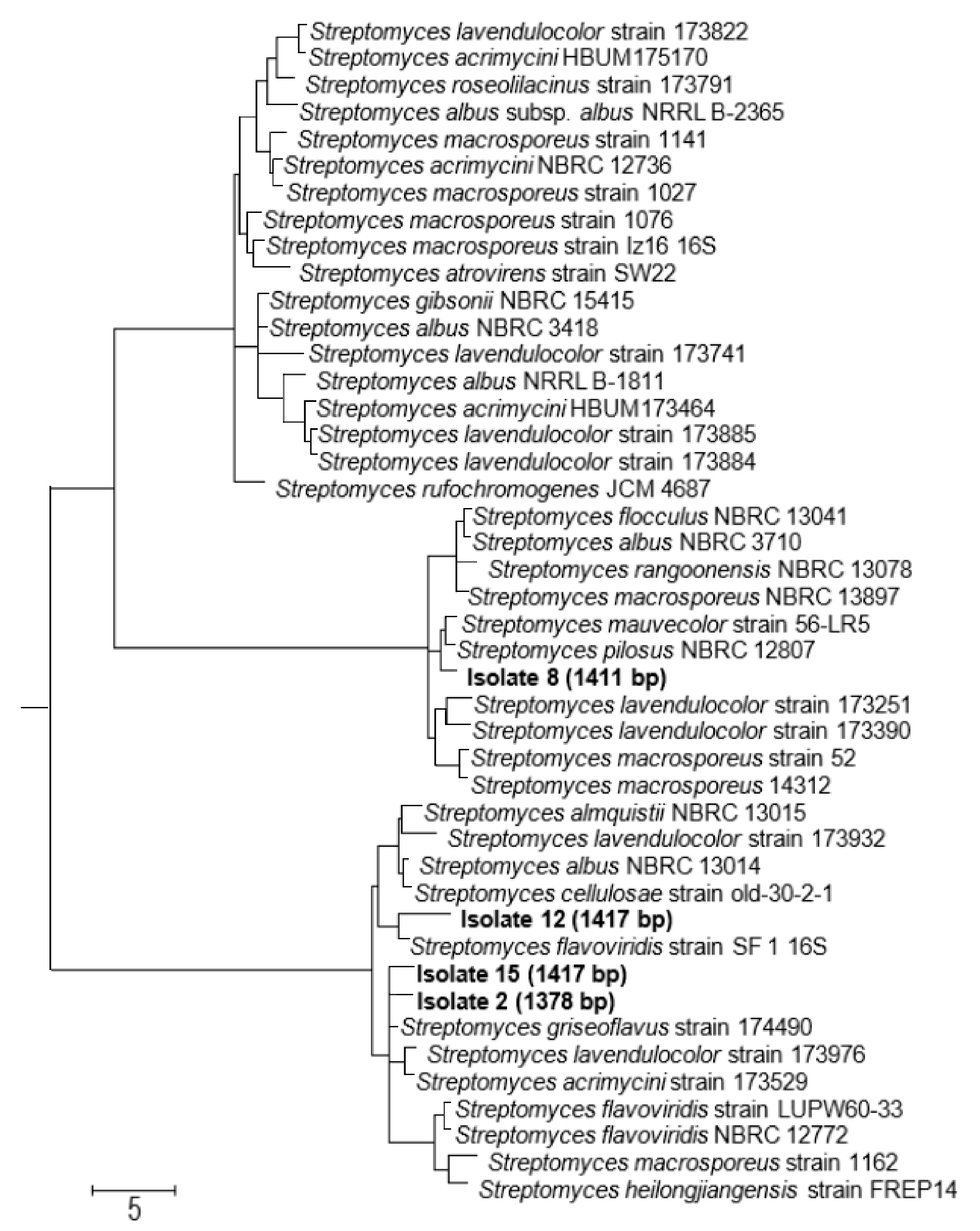 Biomolecules 10 01675 g003
