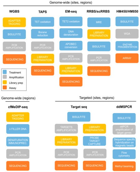 Biomolecules | Free Full-Text | Cell-Free DNA-Methylation-Based Methods ...