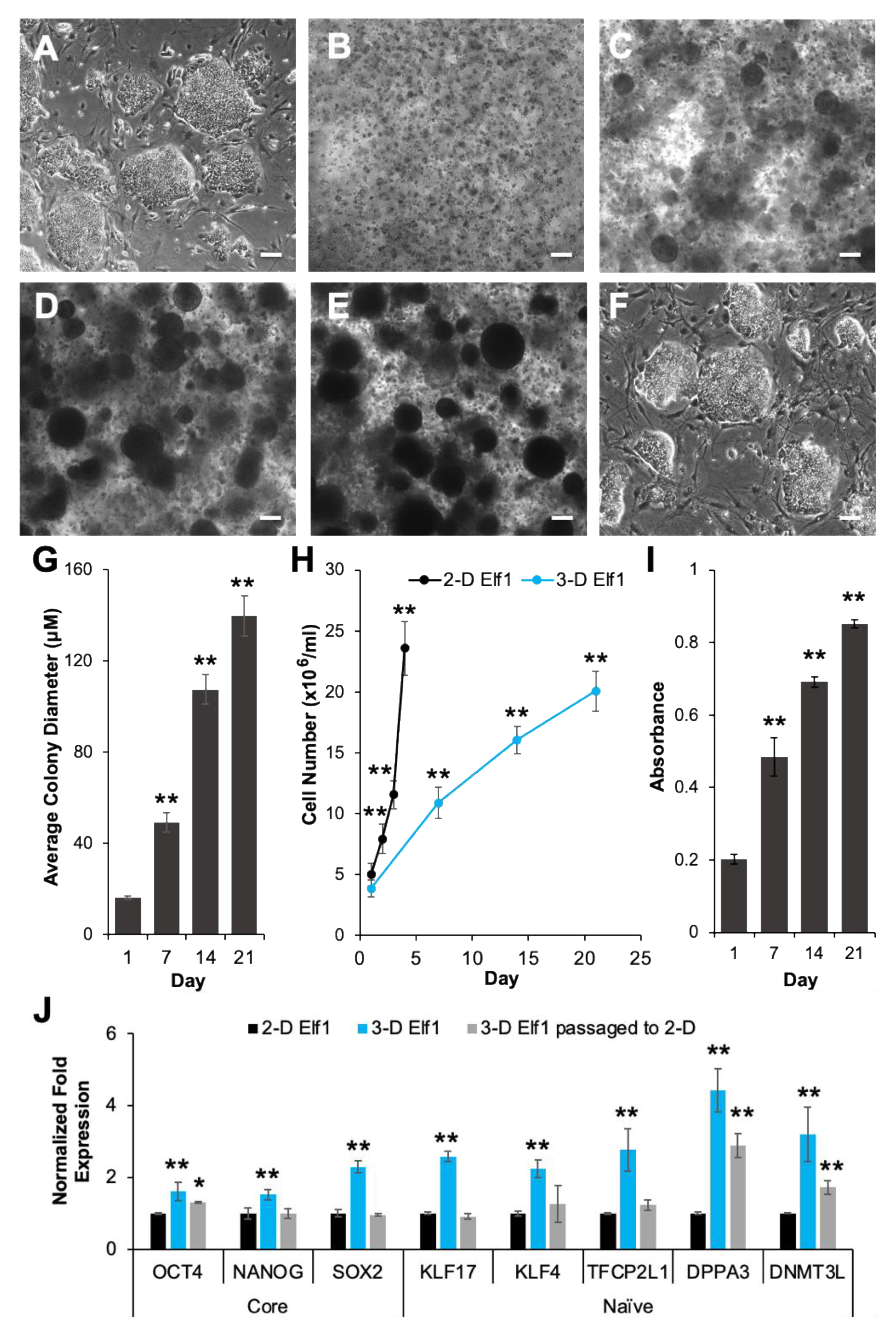 Biomolecules 11 00021 g002 Biomolecules 11 00021 g002