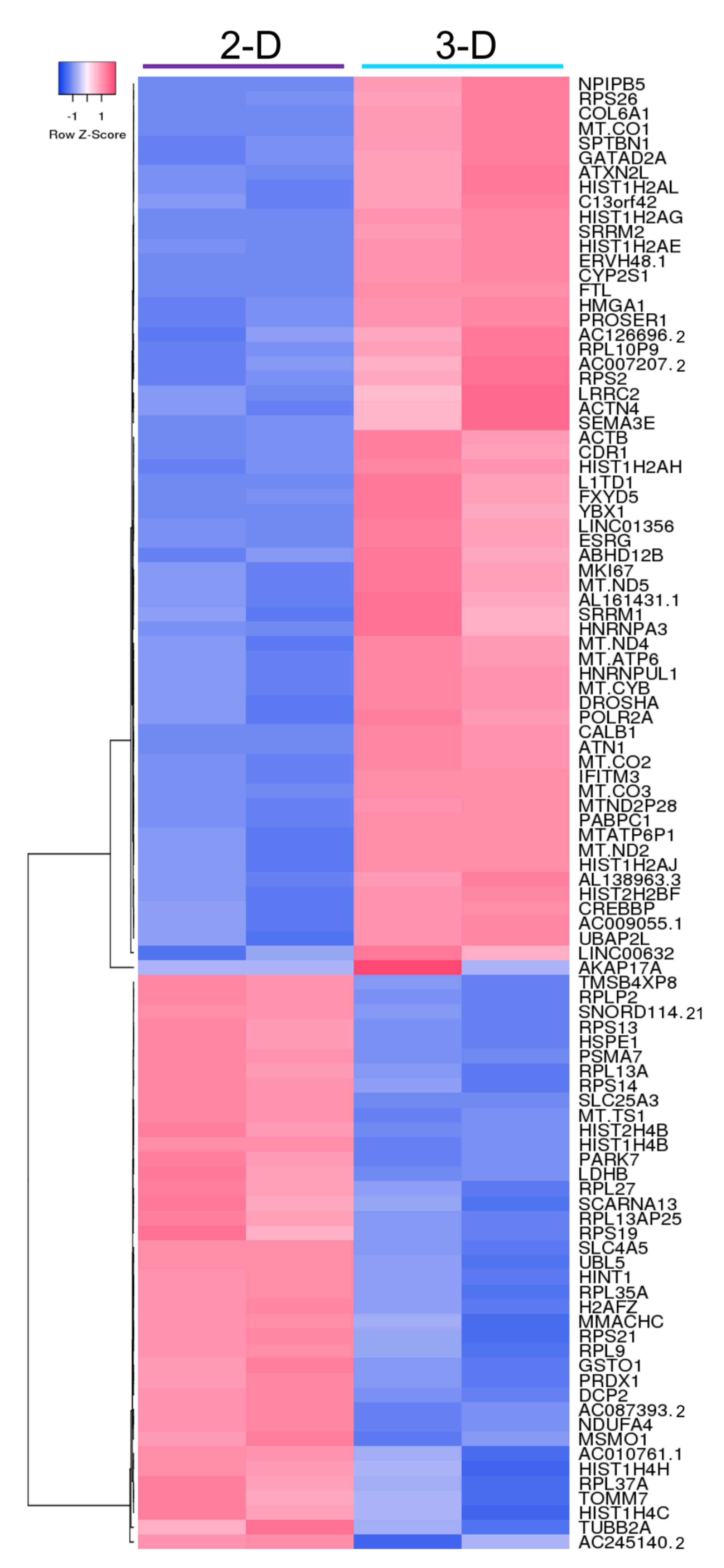 Biomolecules 11 00021 g004 Biomolecules 11 00021 g004