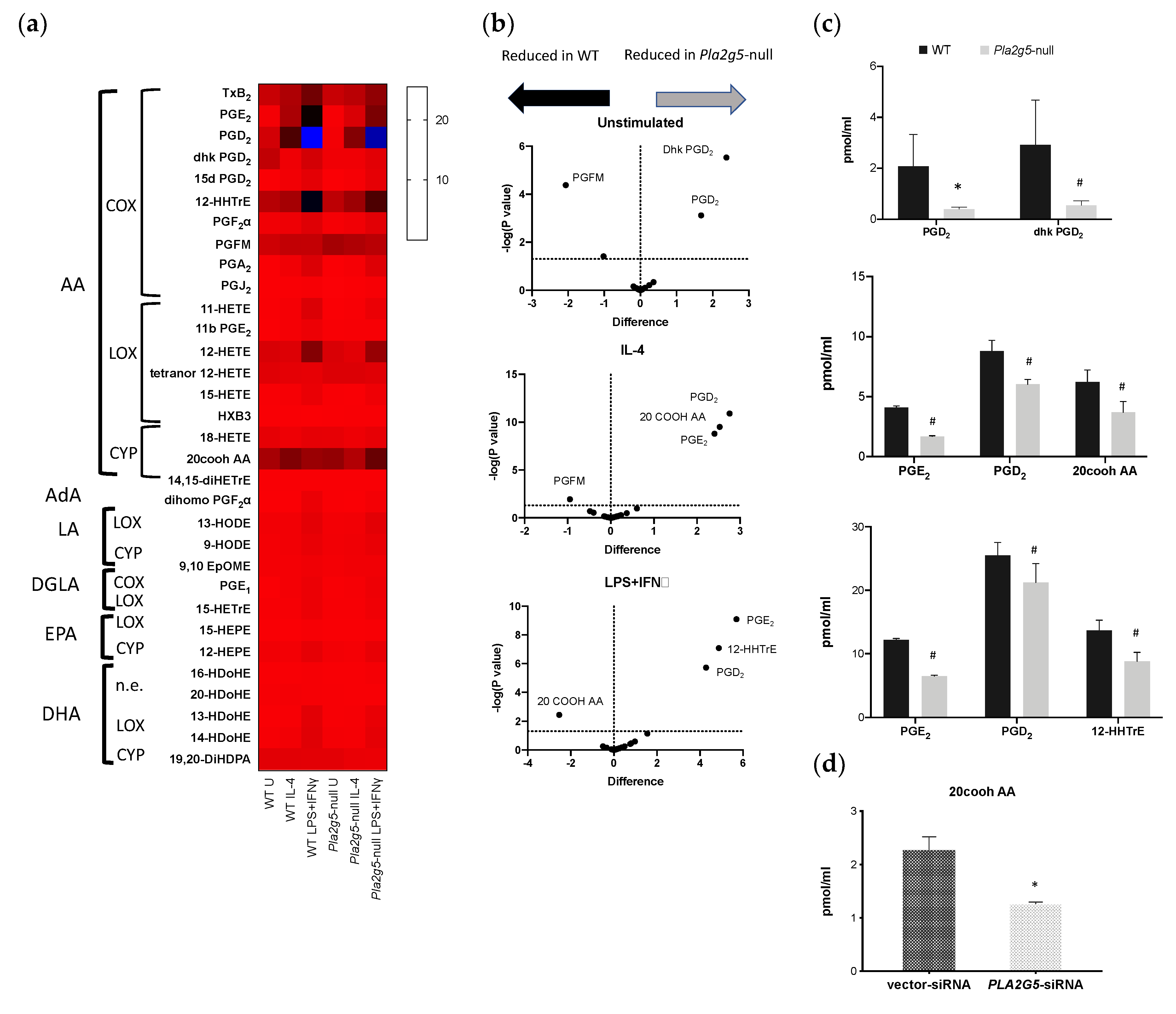 Biomolecules 11 00025 g005 Biomolecules 11 00025 g005