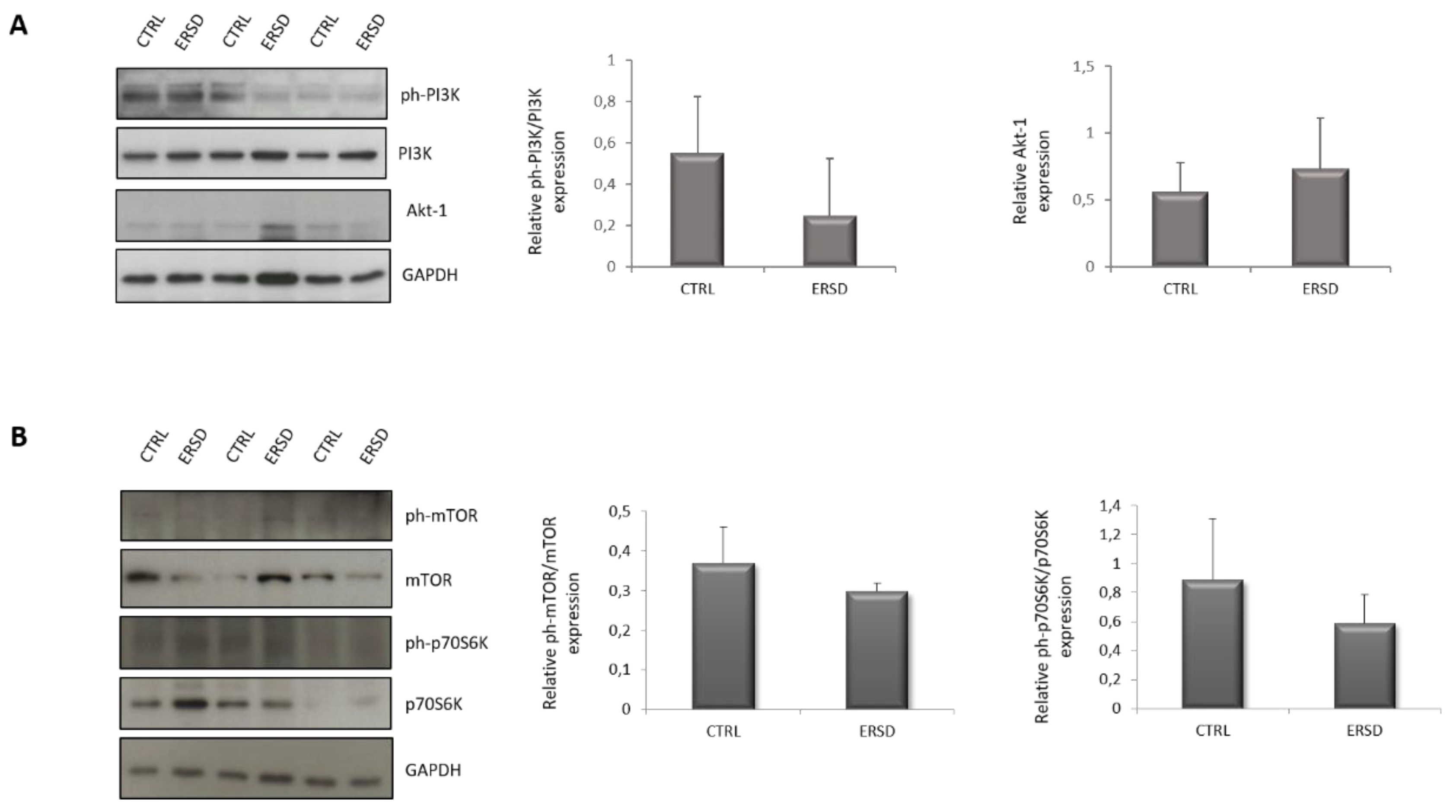 Biomolecules 11 00026 g004 Biomolecules 11 00026 g004