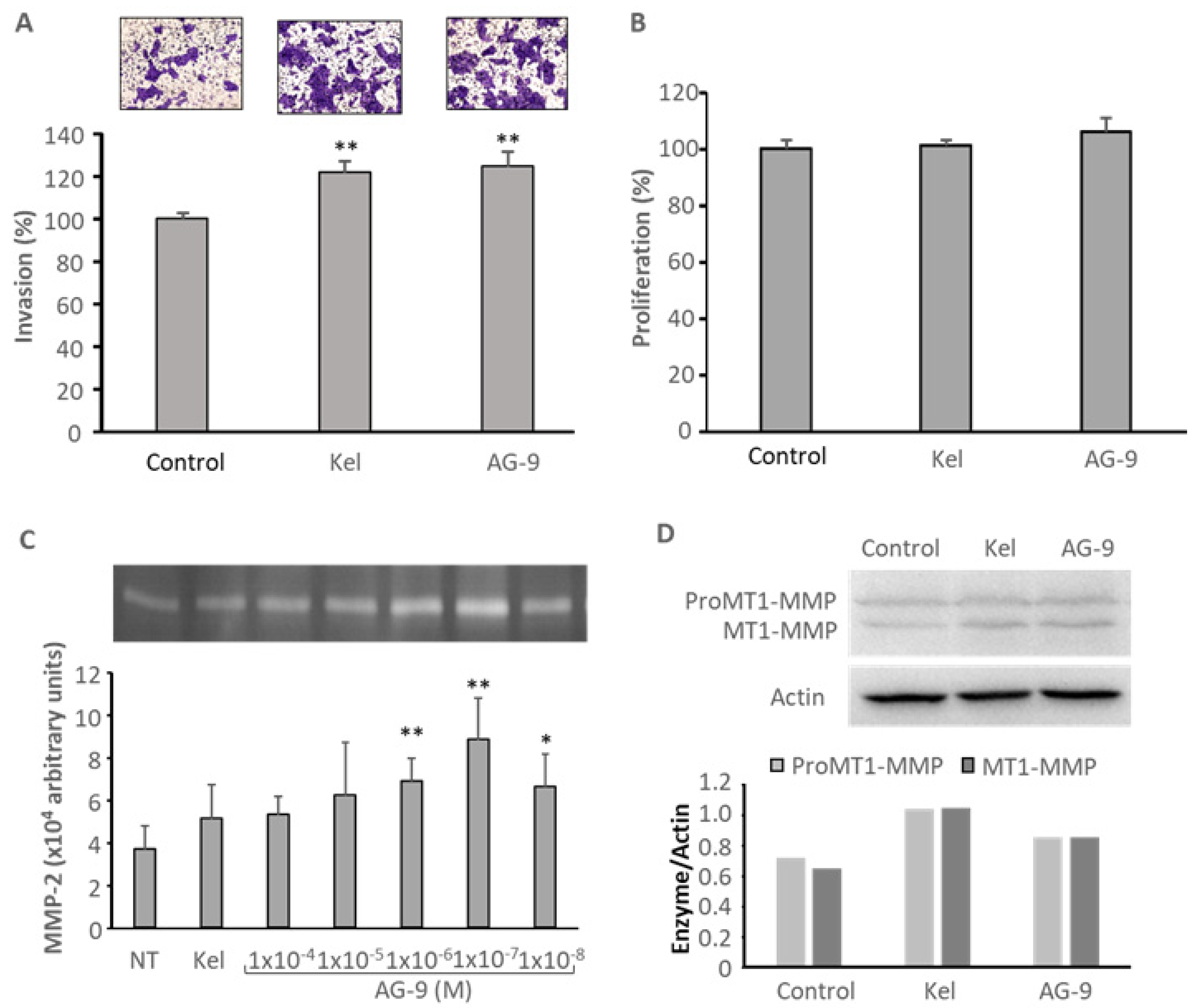 Biomolecules | Free Full-Text | AG-9, an Elastin-Derived Peptide, Increases  In Vitro Oral Tongue Carcinoma Cell Invasion, through an Increase in MMP-2  Secretion and MT1-MMP Expression, in a RPSA-Dependent Manner | HTML