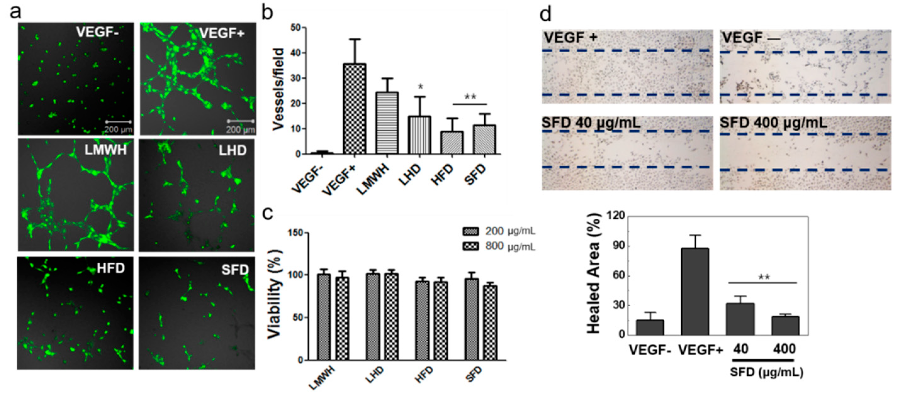 Biomolecules 11 00046 g004 Biomolecules 11 00046 g004