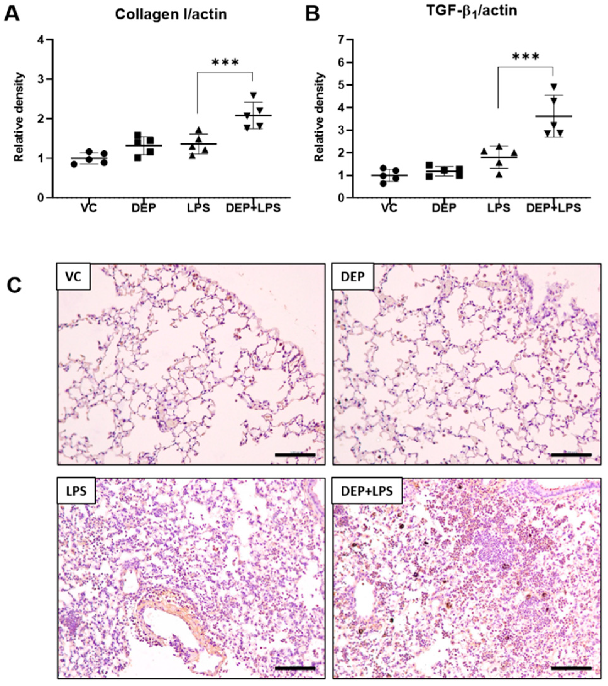 Biomolecules 11 00067 g005