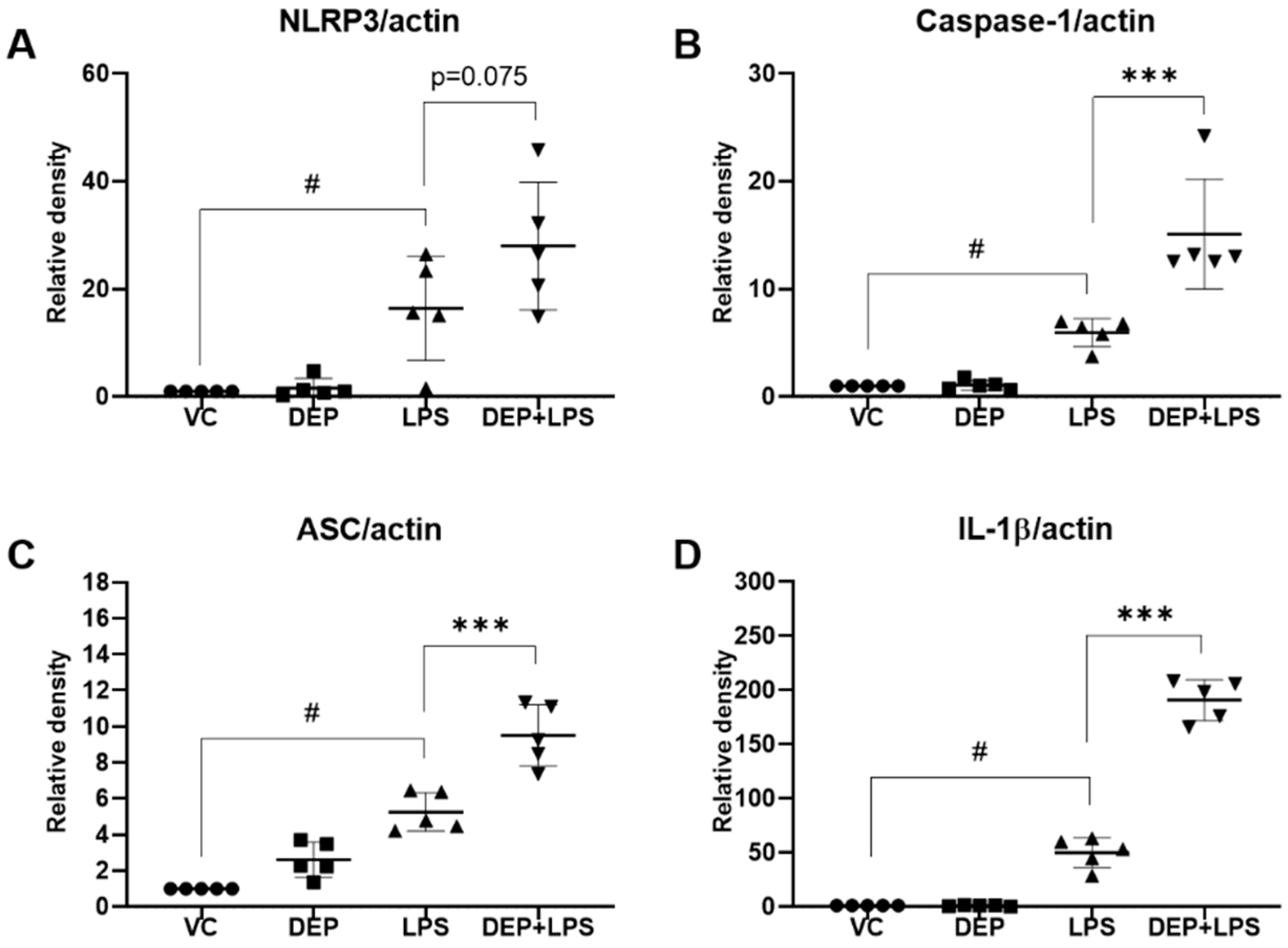 Biomolecules 11 00067 g007