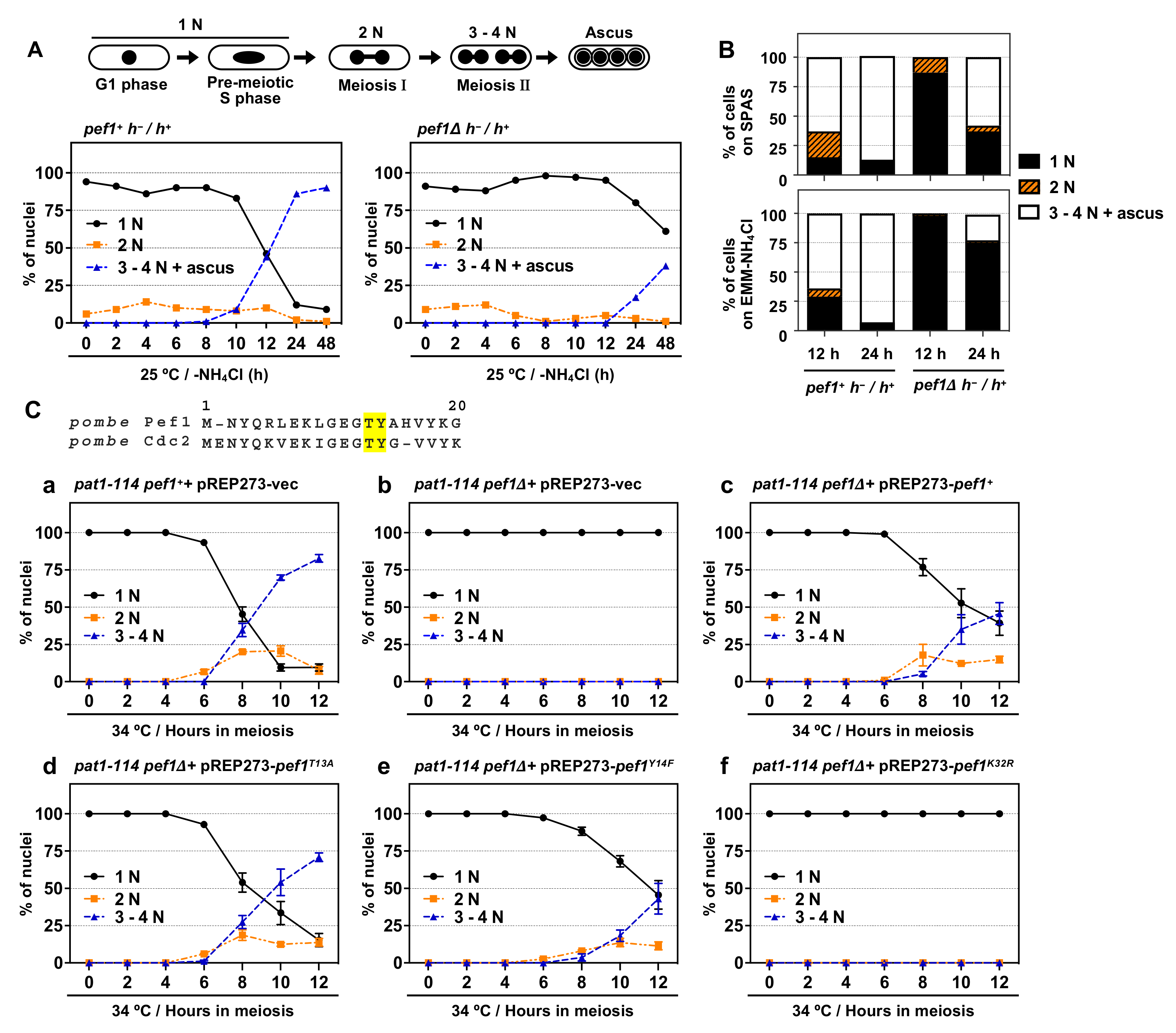 Biomolecules 11 00089 g001 Biomolecules 11 00089 g001