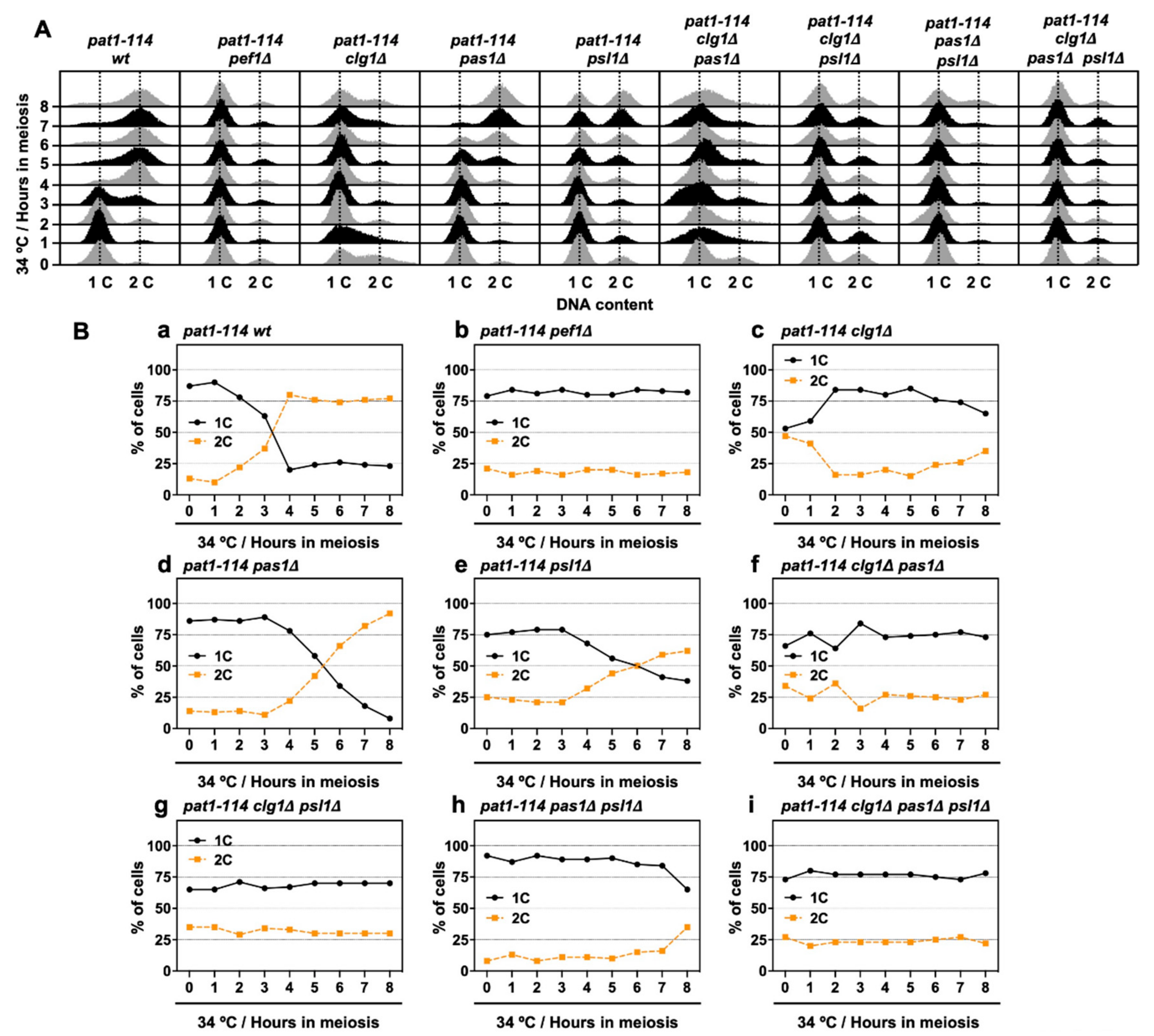 Biomolecules 11 00089 g006 Biomolecules 11 00089 g006