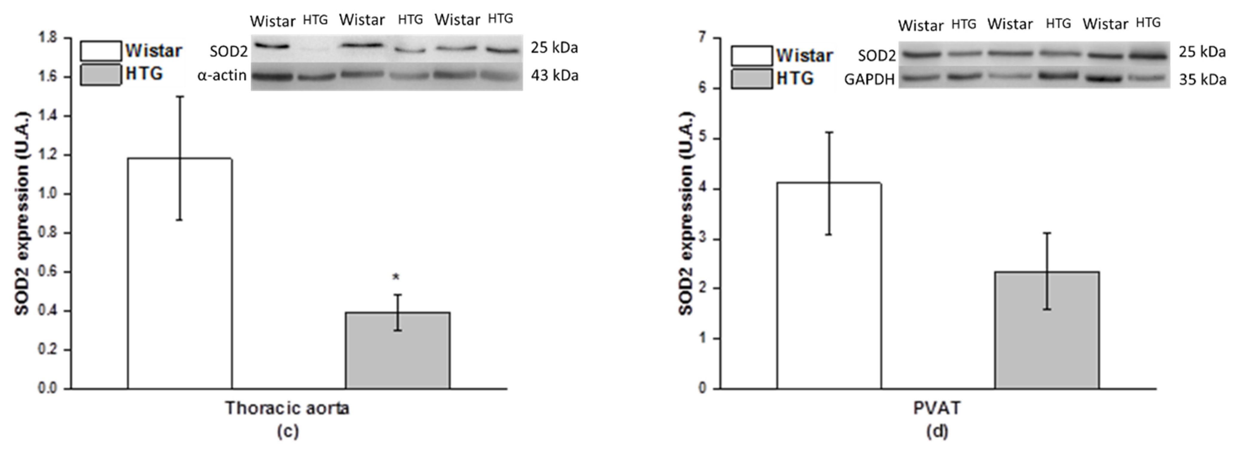 Biomolecules 11 00108 g008b Biomolecules 11 00108 g008b